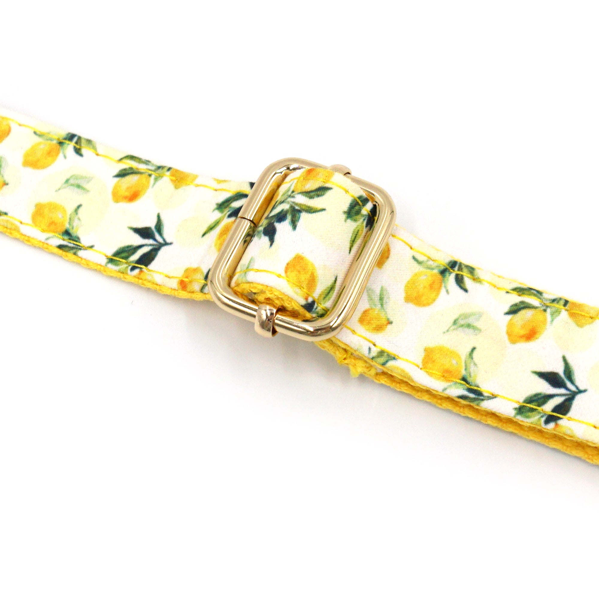 Dog Collar & Leash Set | Lemon Drop