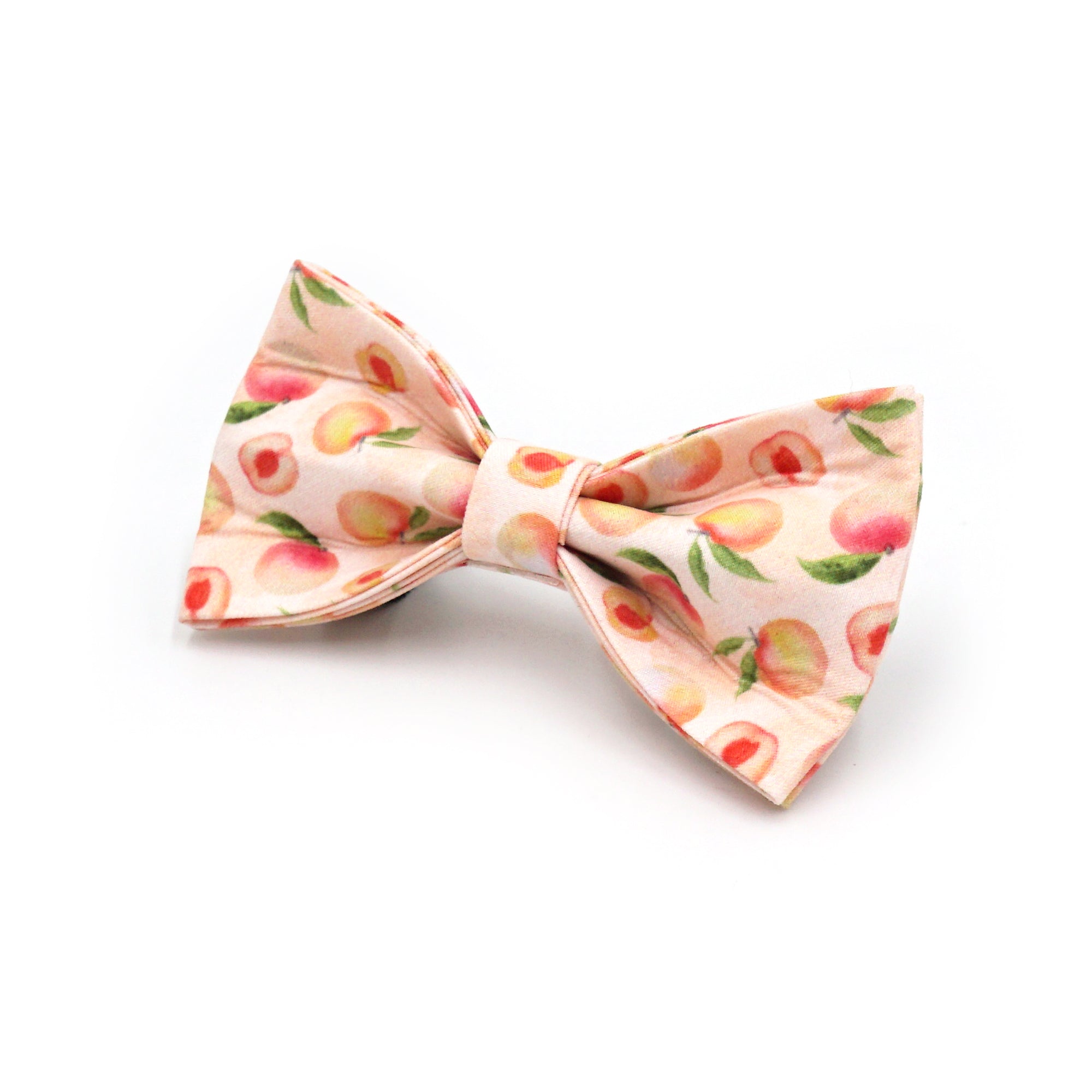 Honey Peach Dog Walking Set