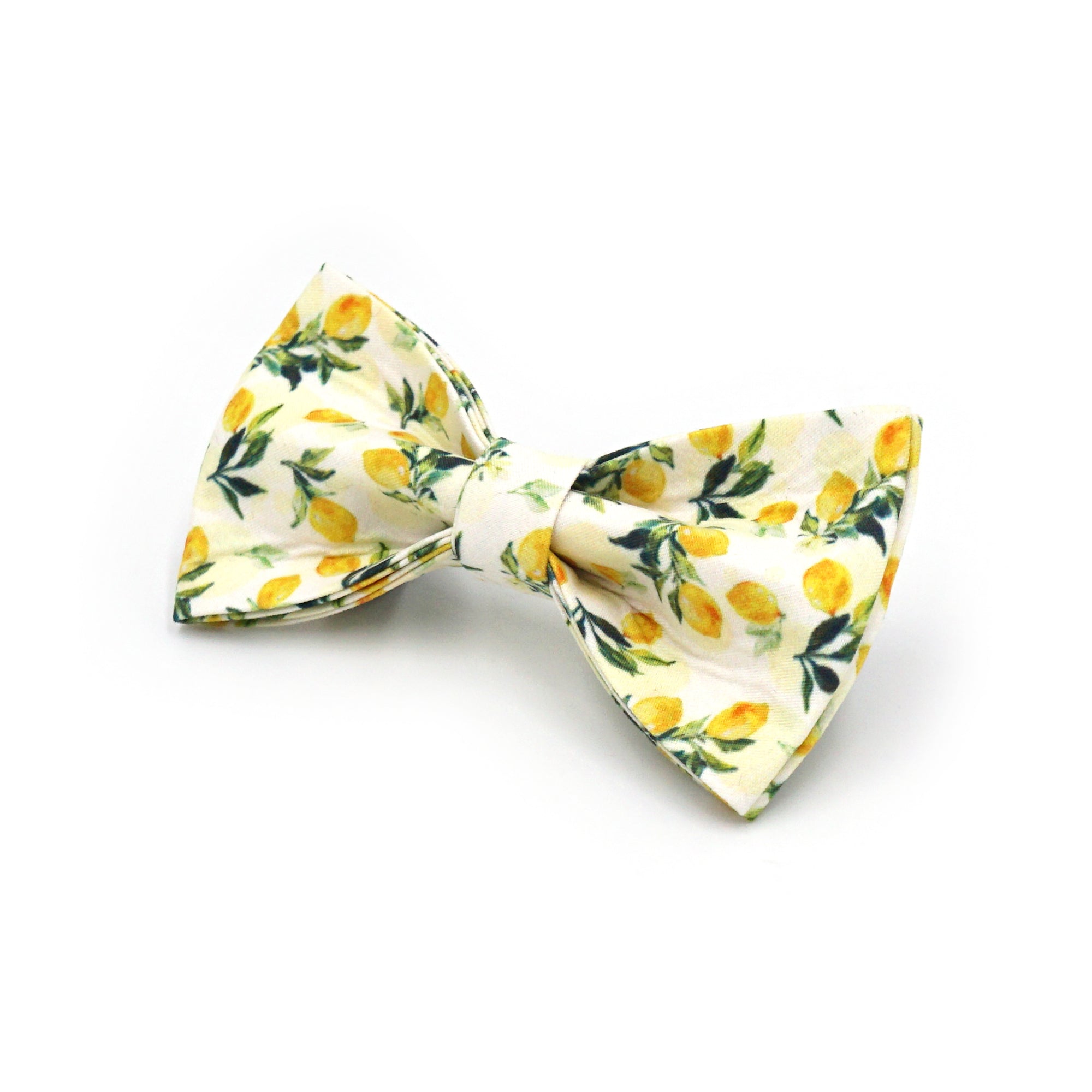 Dog Collar & Leash Set | Lemon Drop
