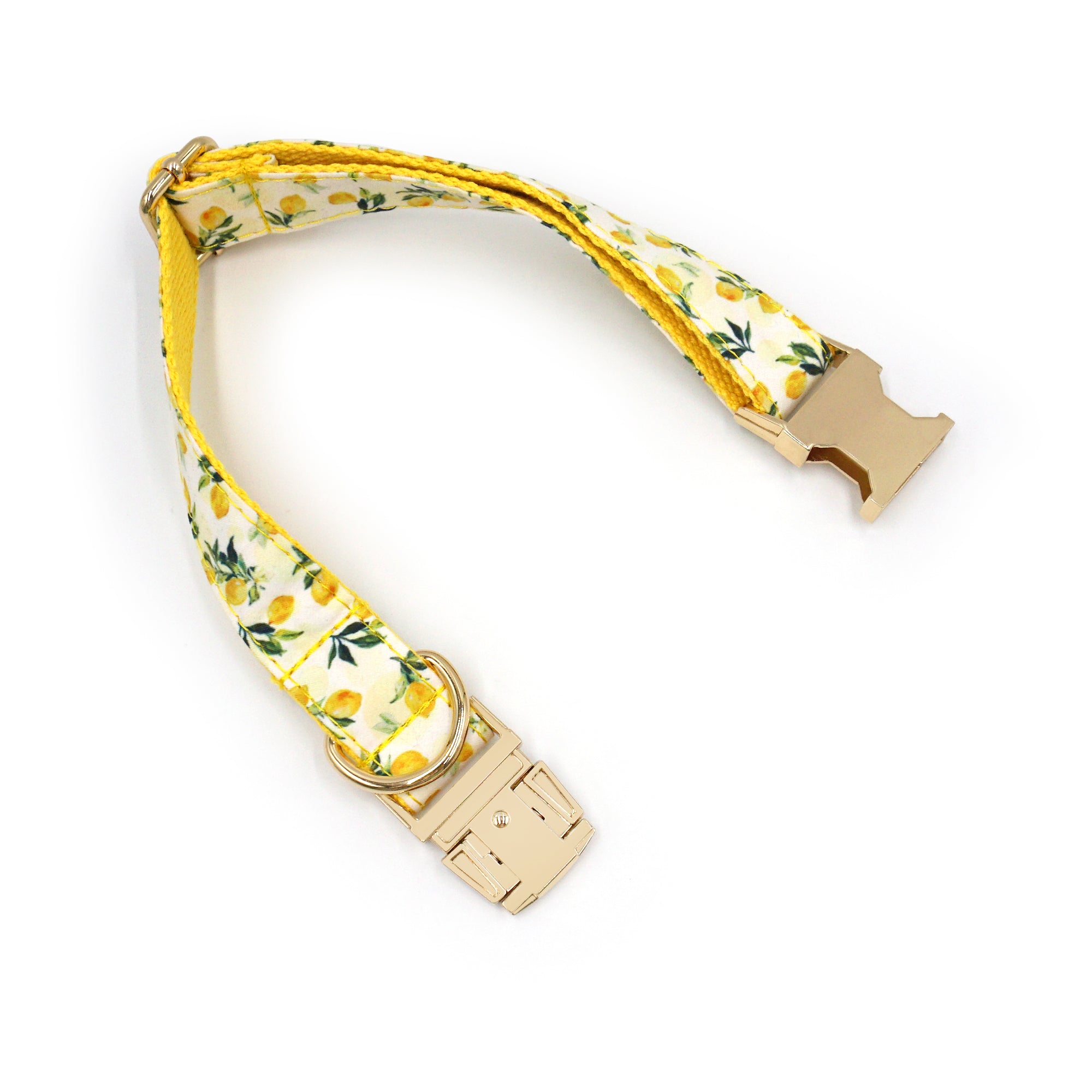Dog Collar & Leash Set | Lemon Drop