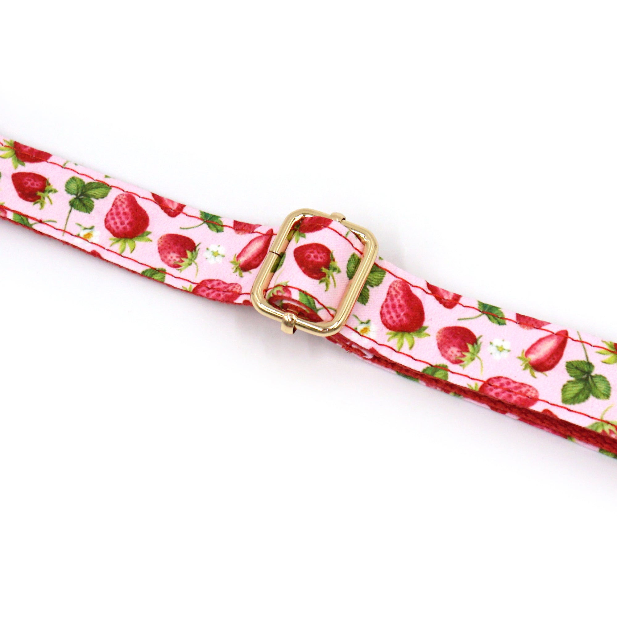 Dog Collar & Leash Set | Sweet Strawberry