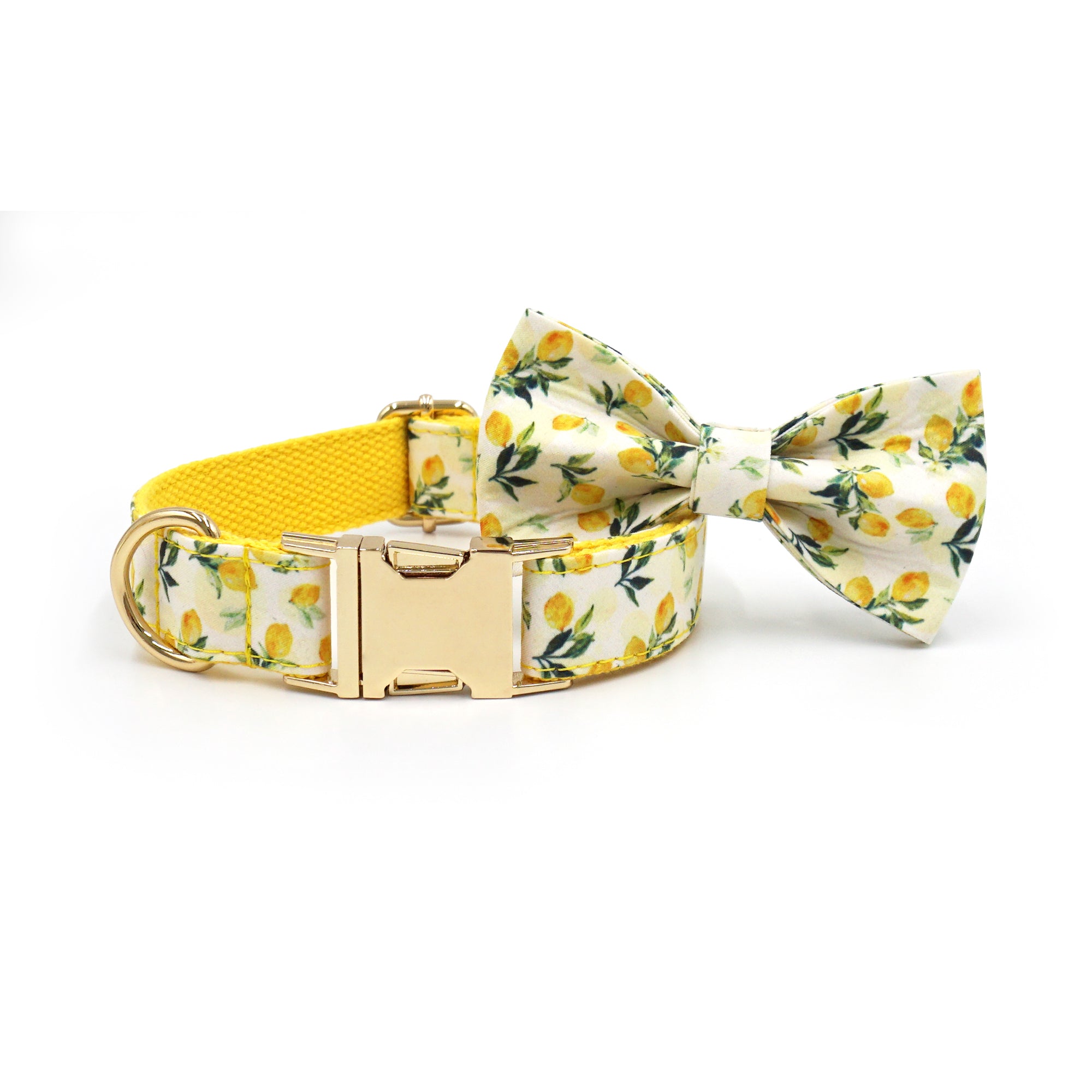 Dog Collar & Leash Set | Lemon Drop