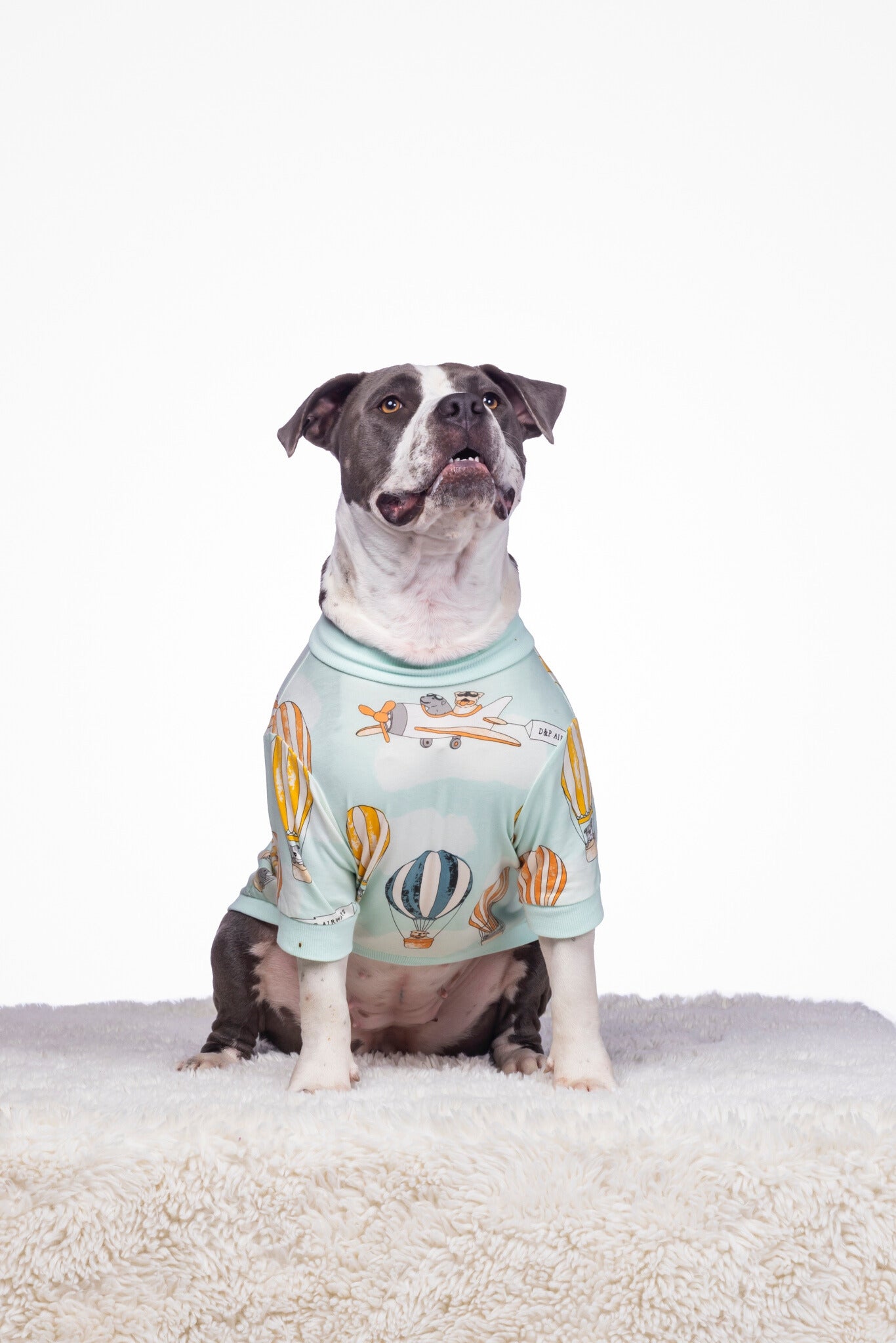 Dog Tee | Licensed to Fly