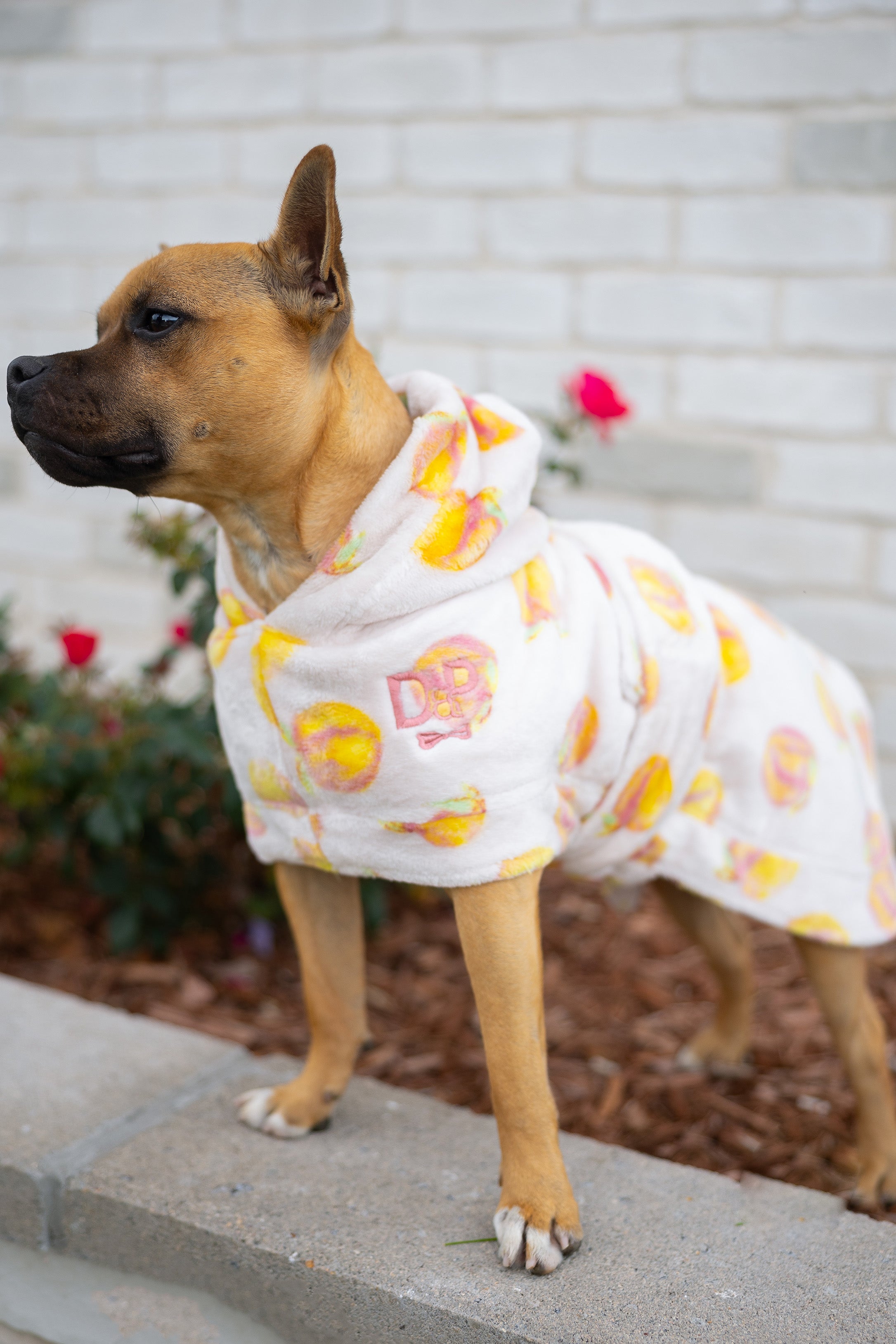 Dog Lounge Robe | Cutie Frutti, Peach