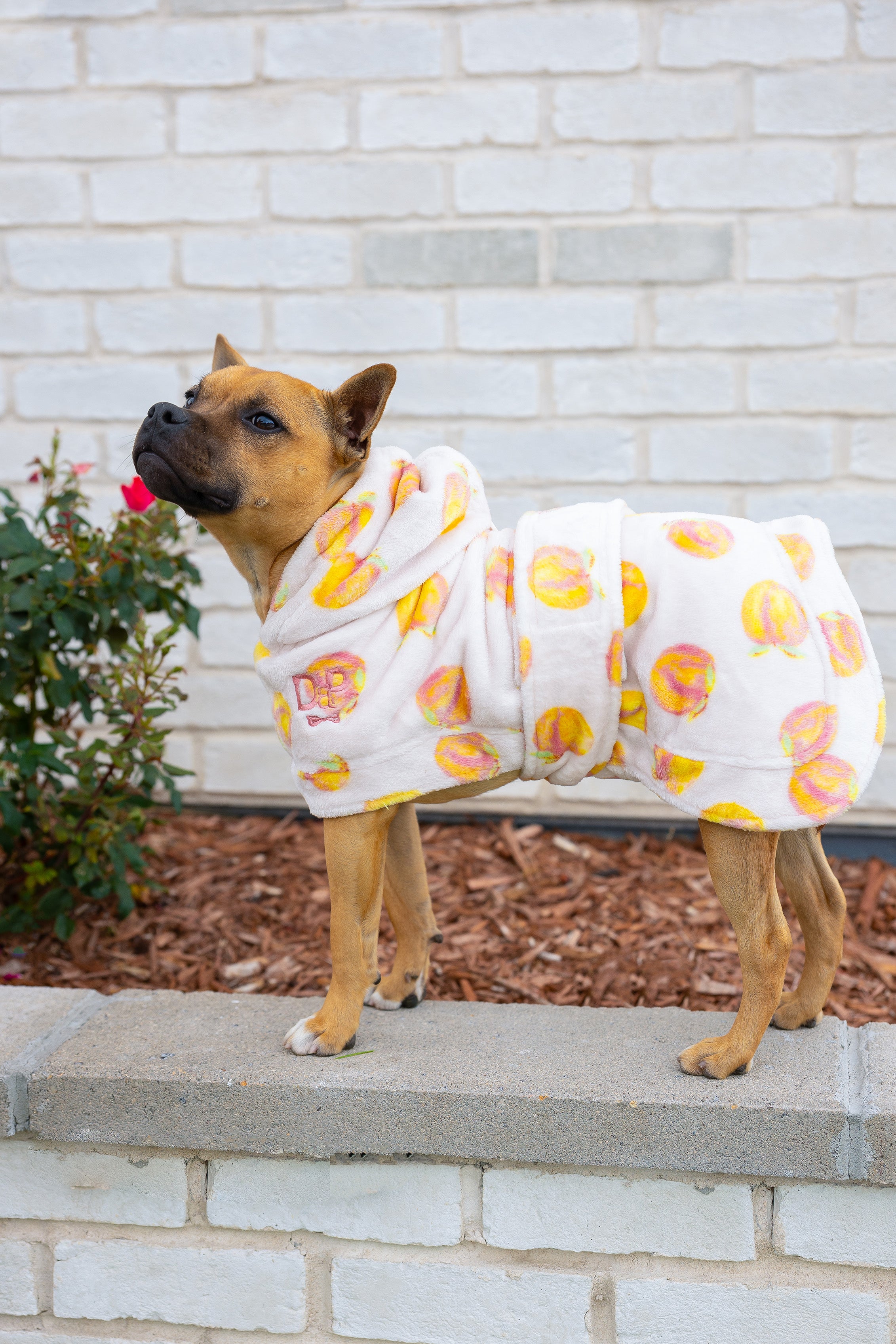 Dog Lounge Robe | Cutie Frutti, Peach