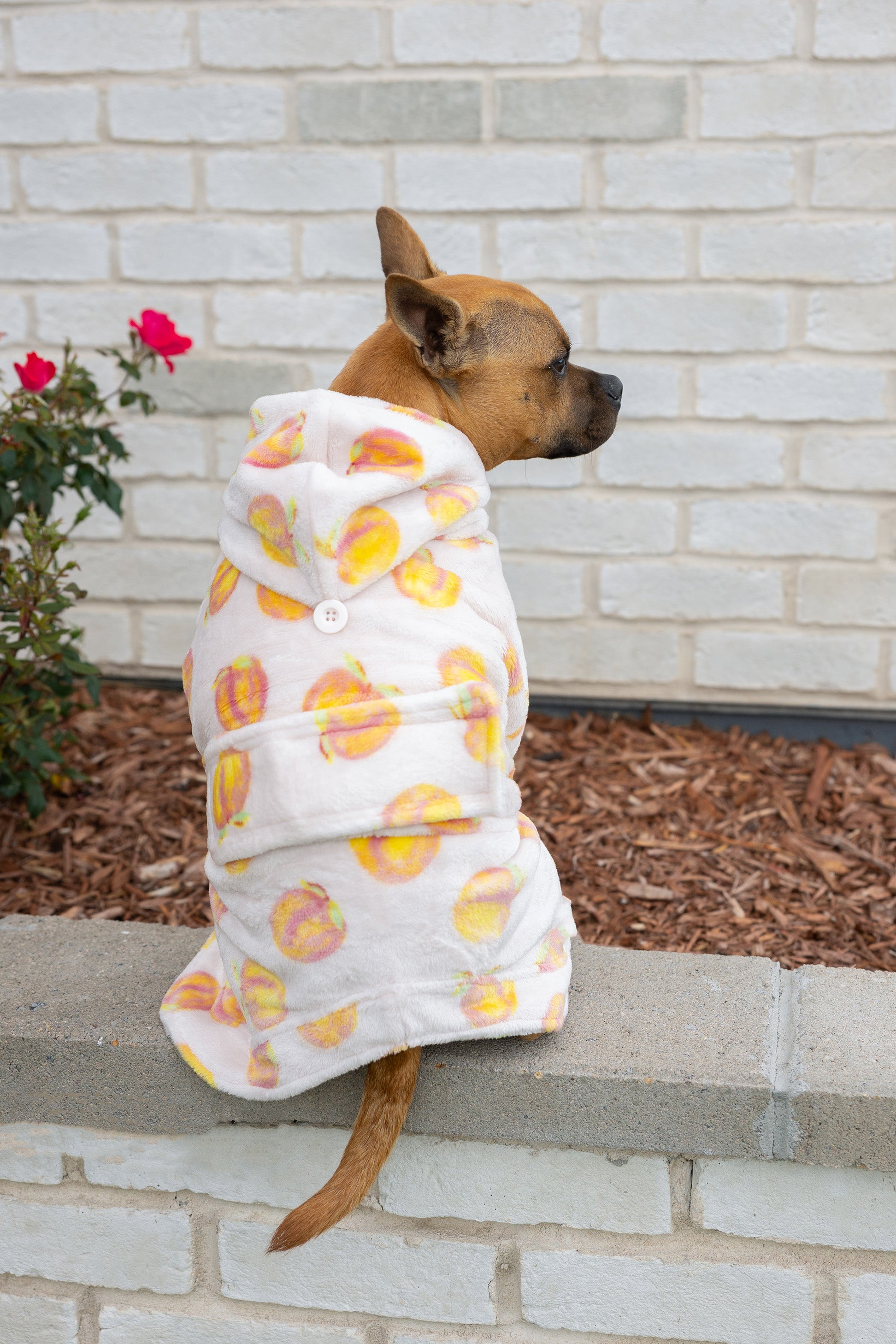 Dog Lounge Robe | Cutie Frutti, Peach