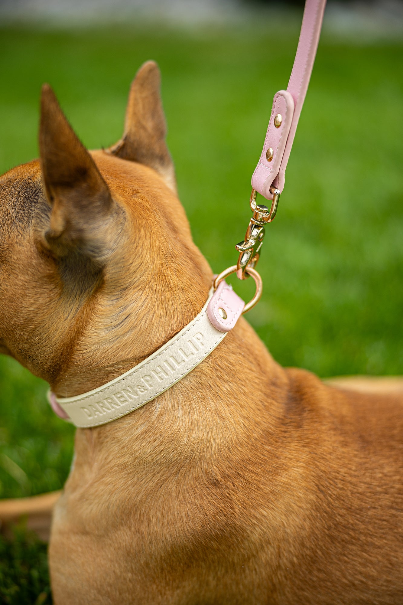 Capri Leather Collar & Leash Set - Sky