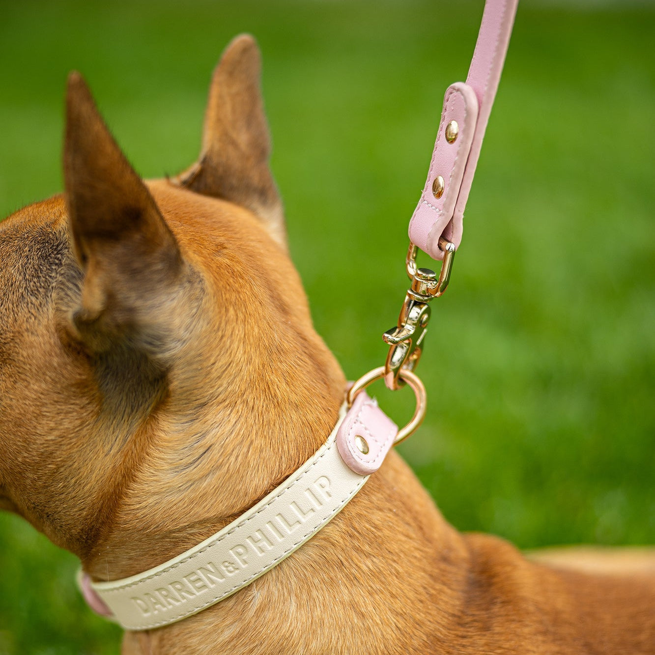 Capri Leather Collar & Leash Set