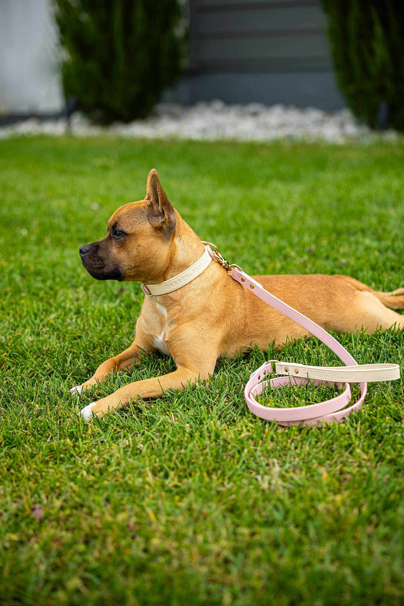 Capri Leather Collar & Leash Set - Sky