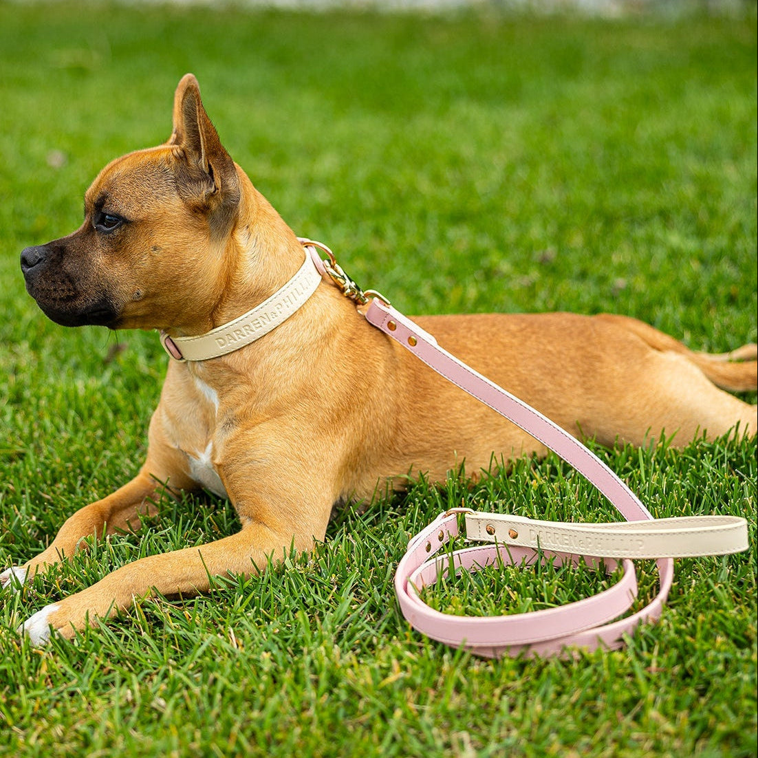 Capri Leather Collar & Leash Set