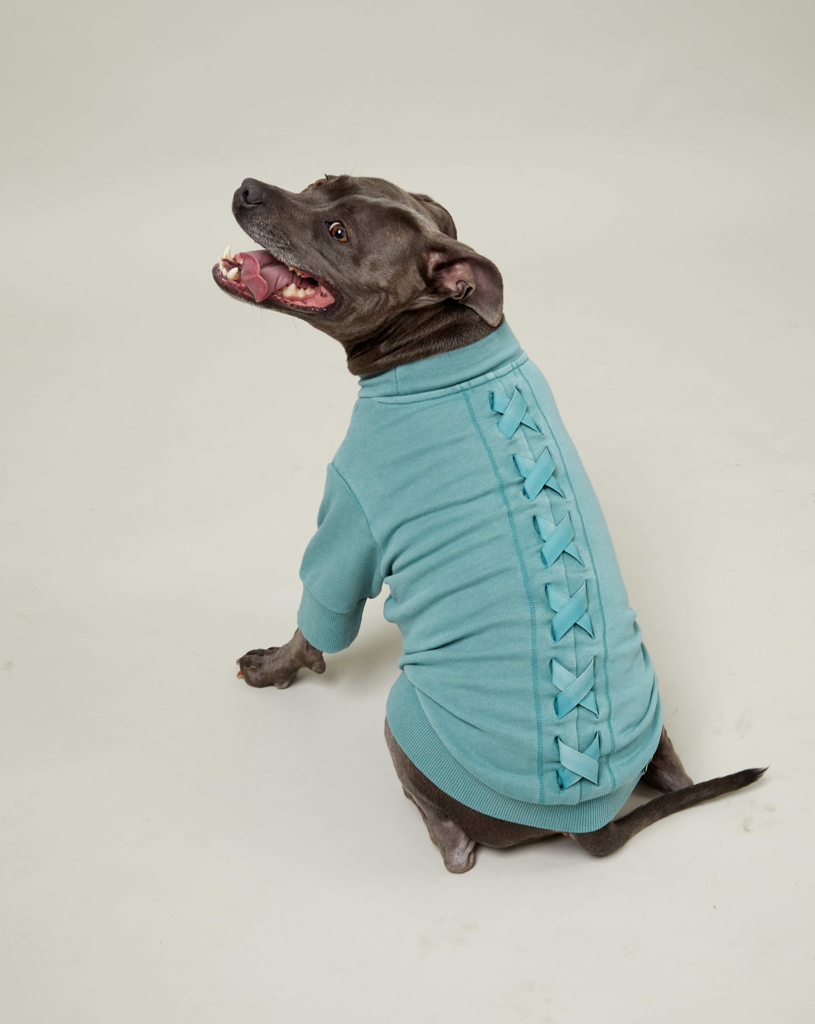 Darren and Phillip green dog jumper.
