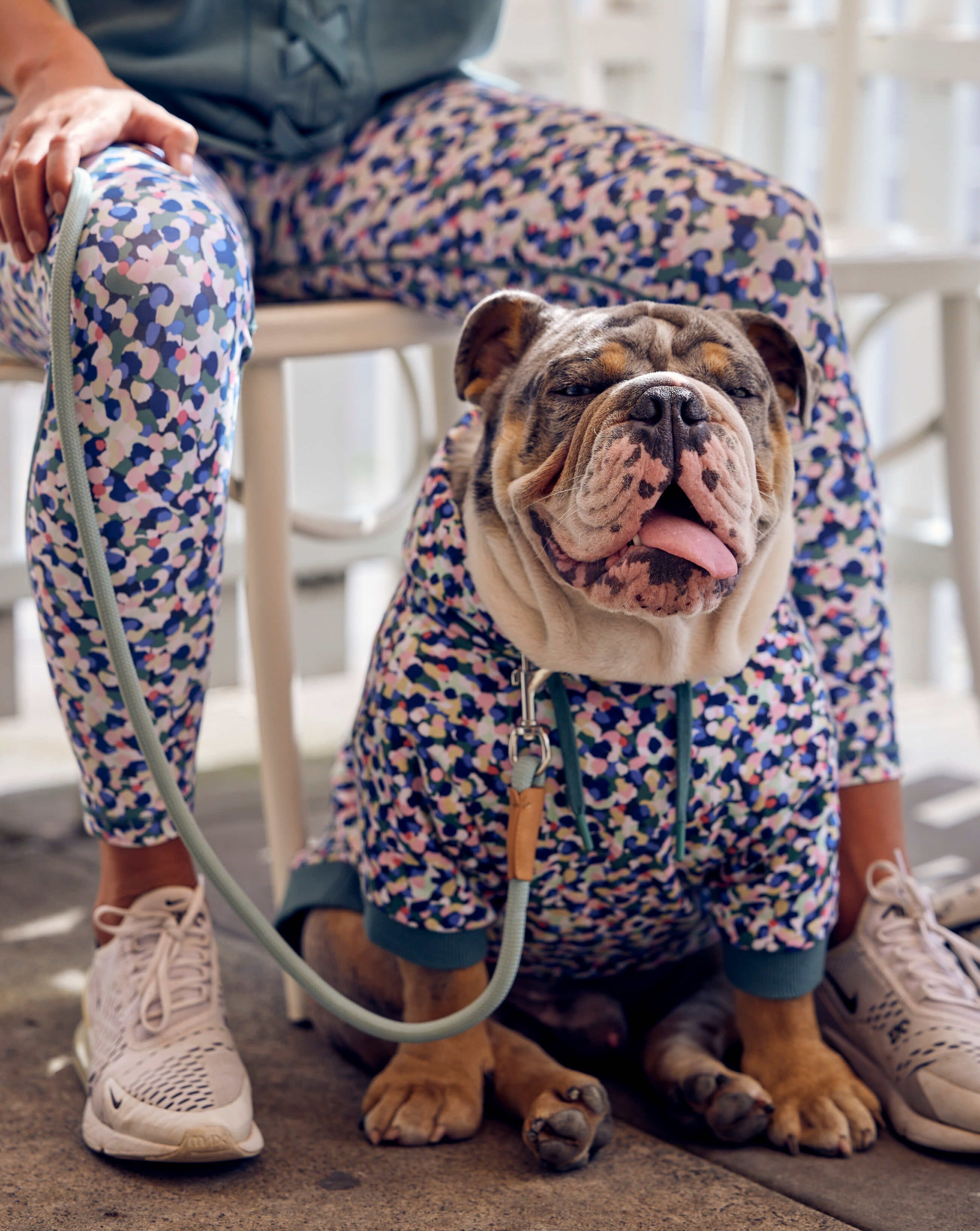 A bulldog wearing a Darren and Phillip dog hoodie.