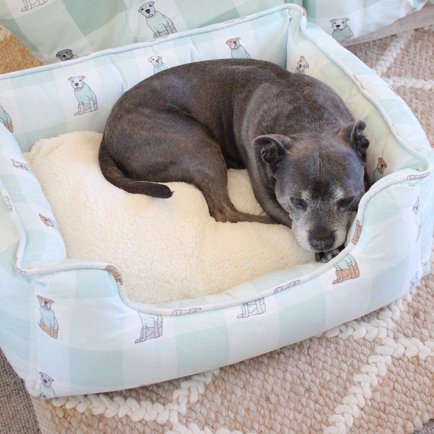 The Darren and Phillip removable cover dog bed.