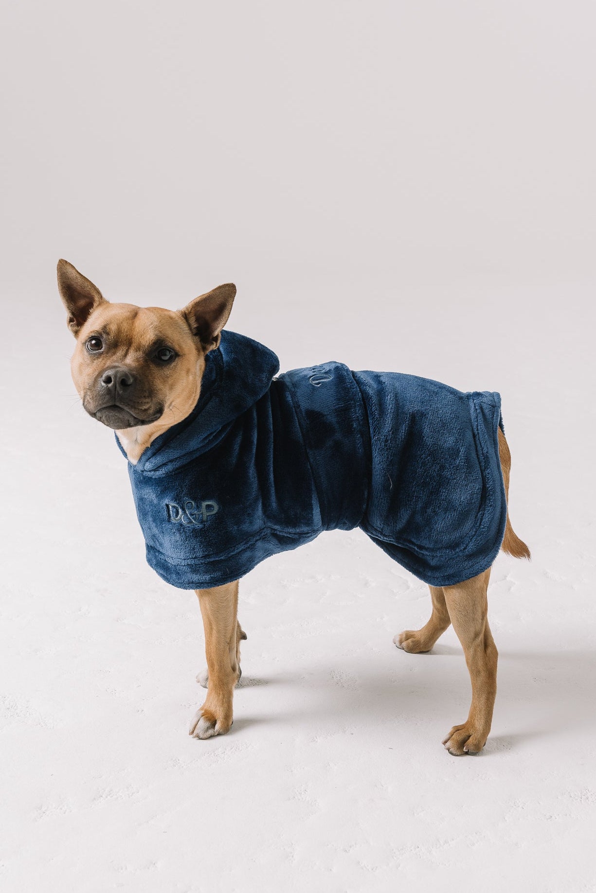 The Dream Calming Dog Robe | Deep Blue
