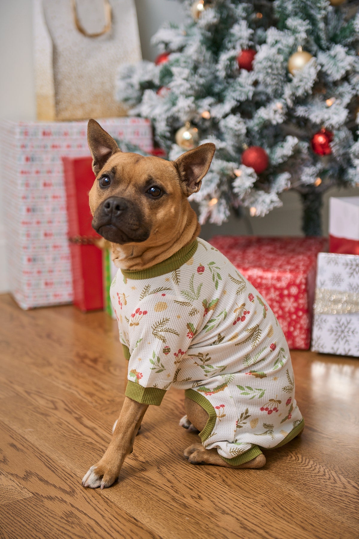 Dog Christmas Pajamas | Mistle-Toes