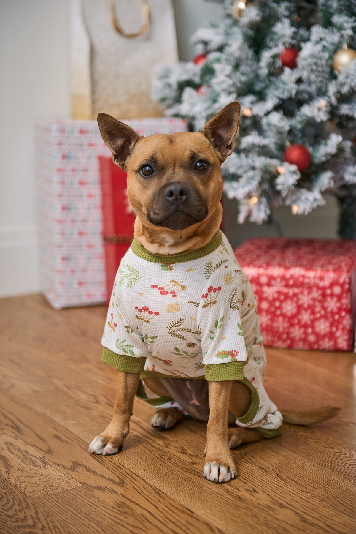 Dog Christmas Pajamas | Mistle-Toes