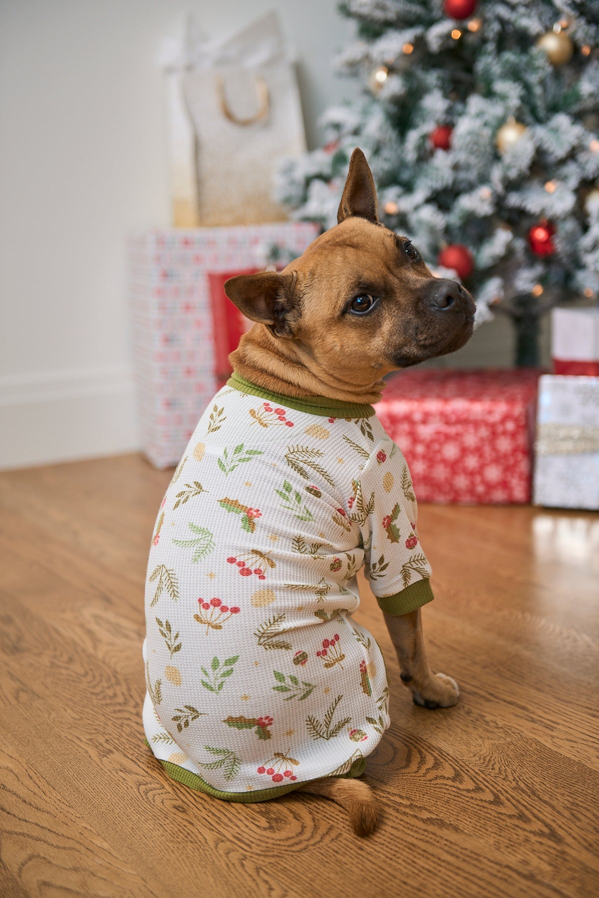 Dog Christmas Pajamas | Mistle-Toes