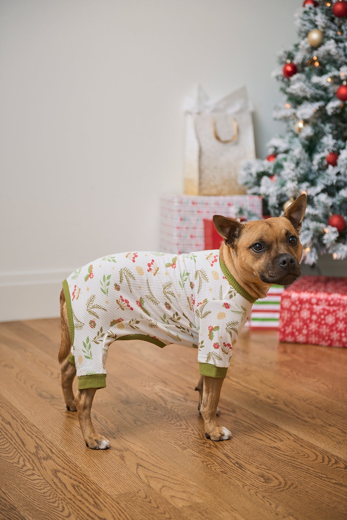 Dog Christmas Pajamas | Mistle-Toes
