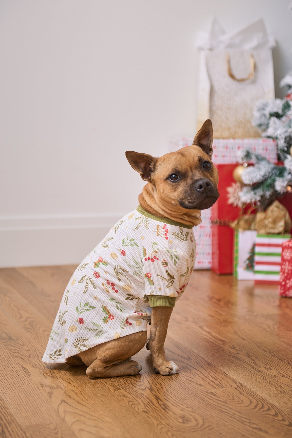 Dog Christmas Tee | Mistle-Toes