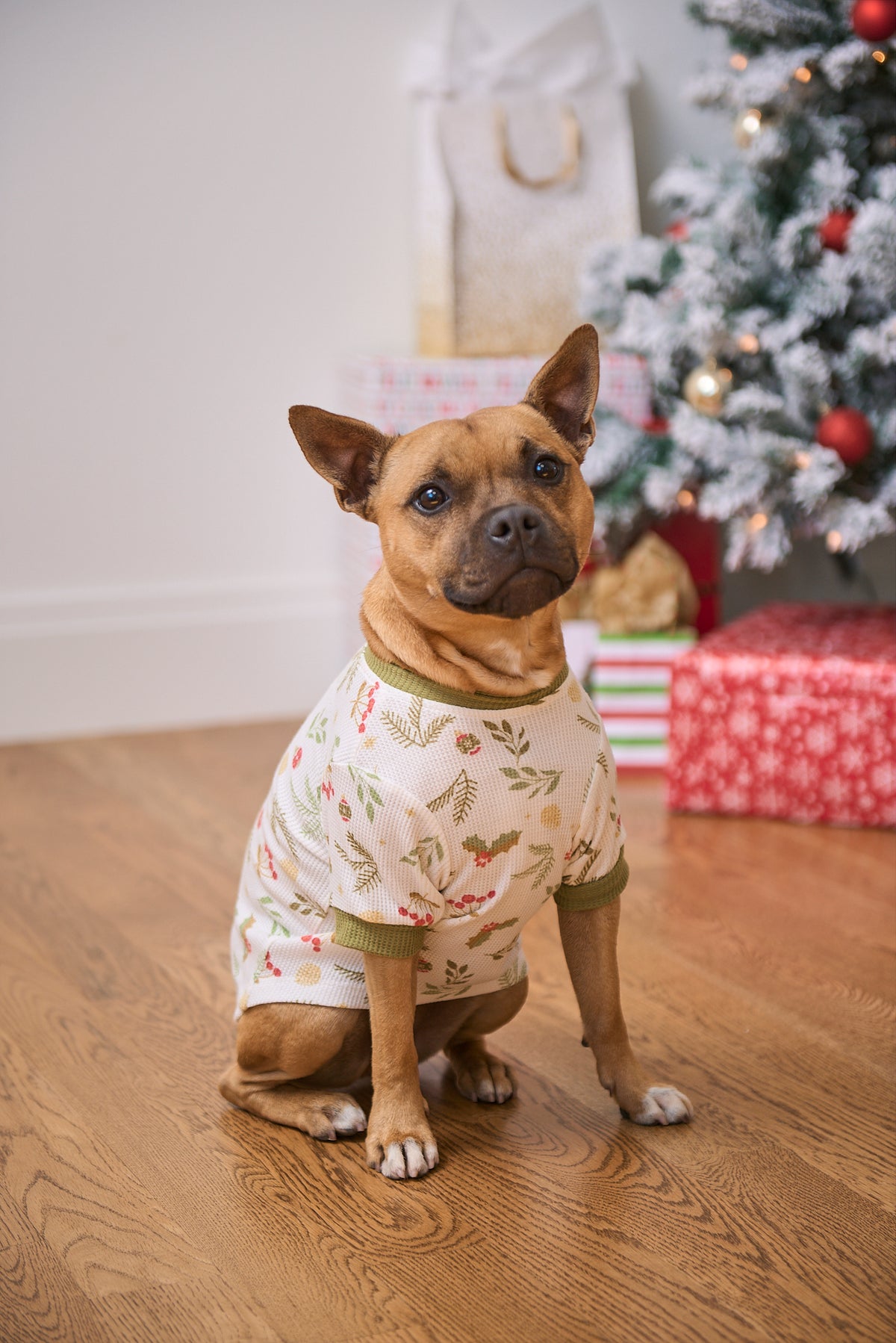 Dog Christmas Tee | Mistle-Toes