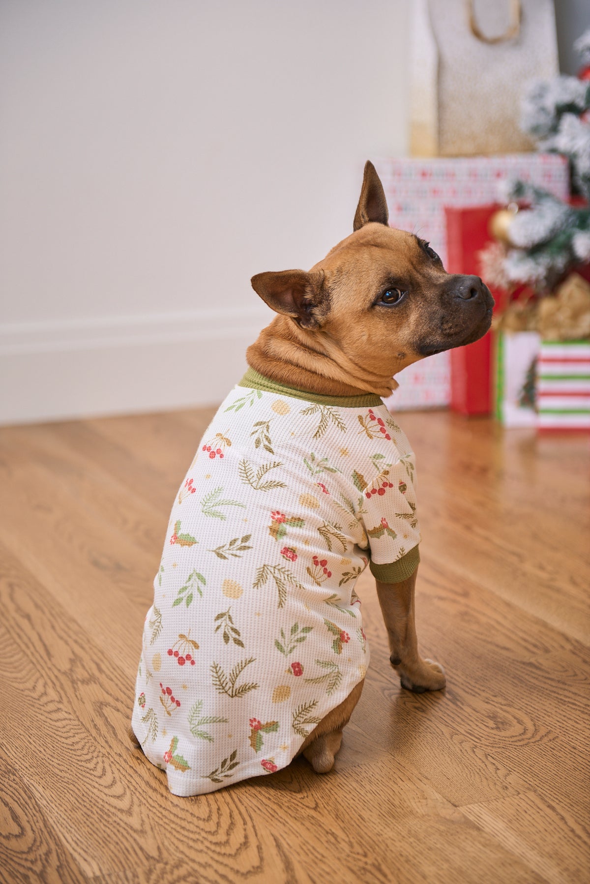 Dog Christmas Tee | Mistle-Toes