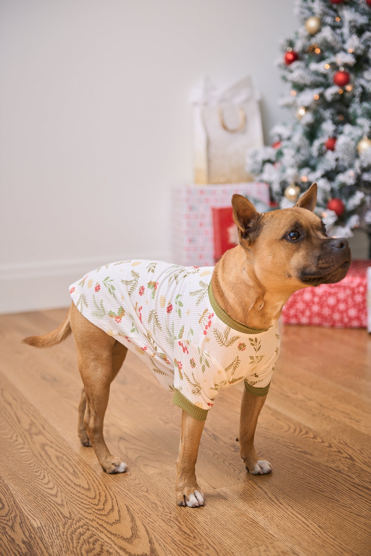Dog Christmas Tee | Mistle-Toes