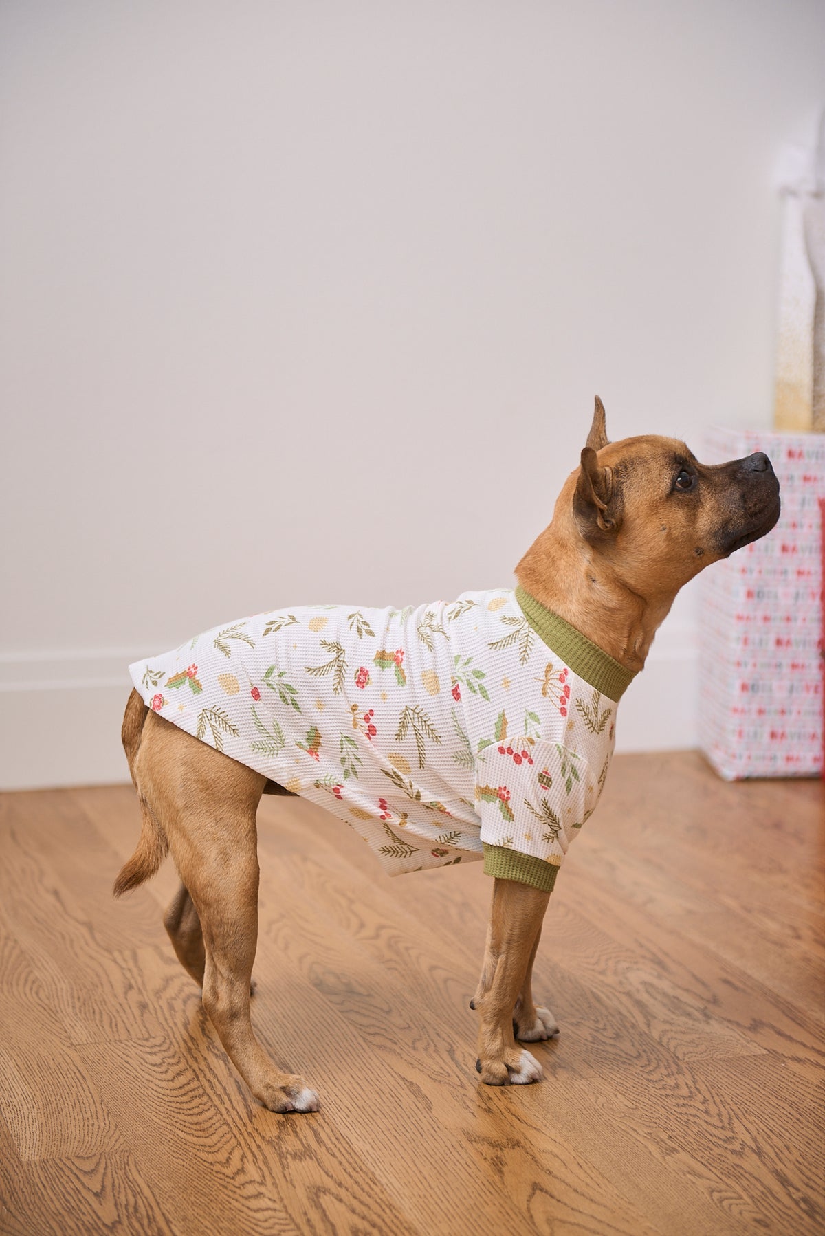 Dog Christmas Tee | Mistle-Toes