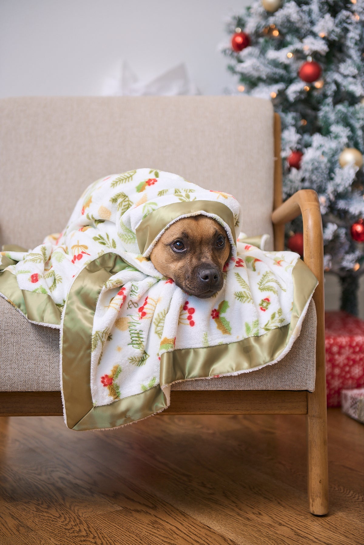 The Dream Christmas Blanket | Mistle-Toes