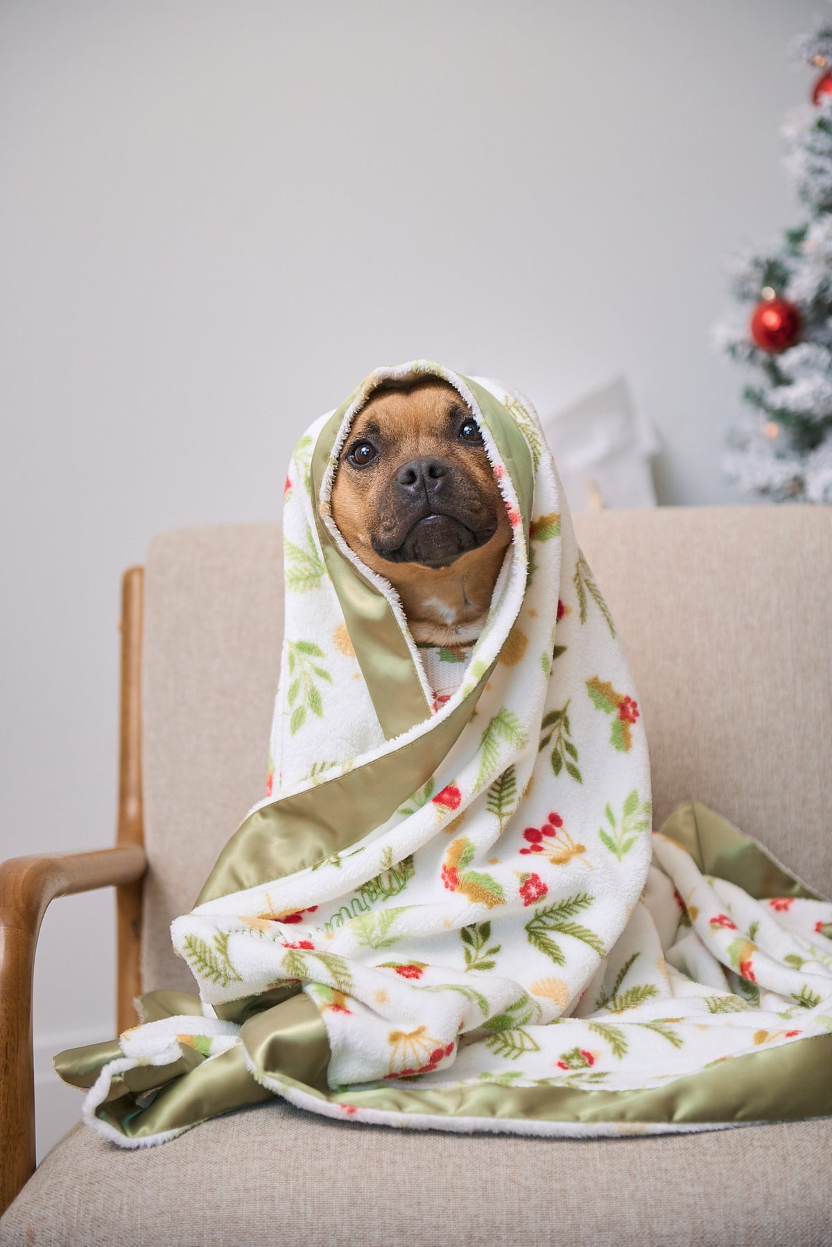 The Dream Christmas Blanket | Mistle-Toes