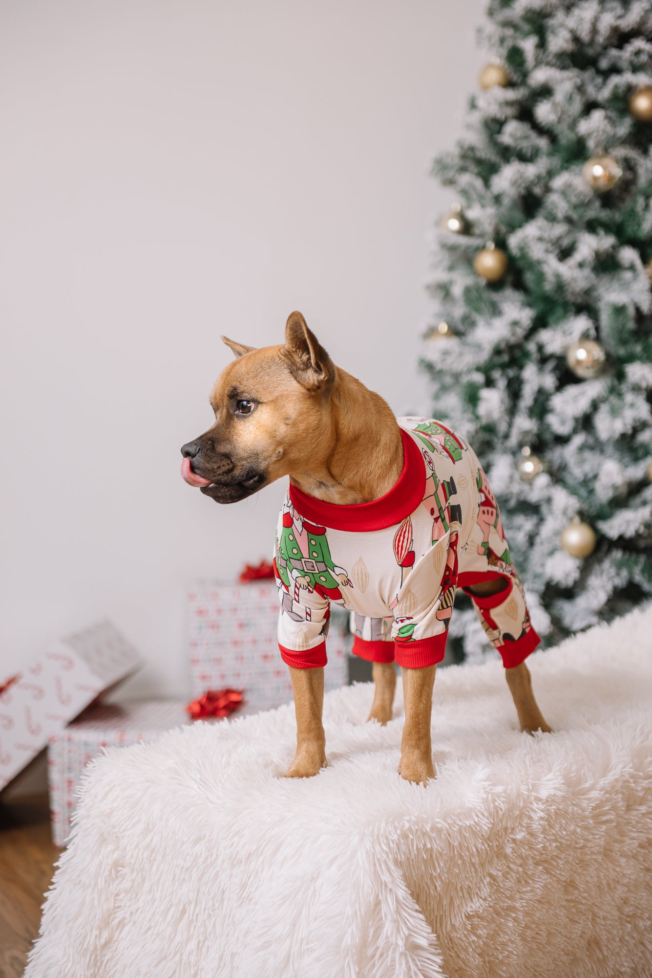 Dog Christmas Pajamas | Nutcracker Dreams