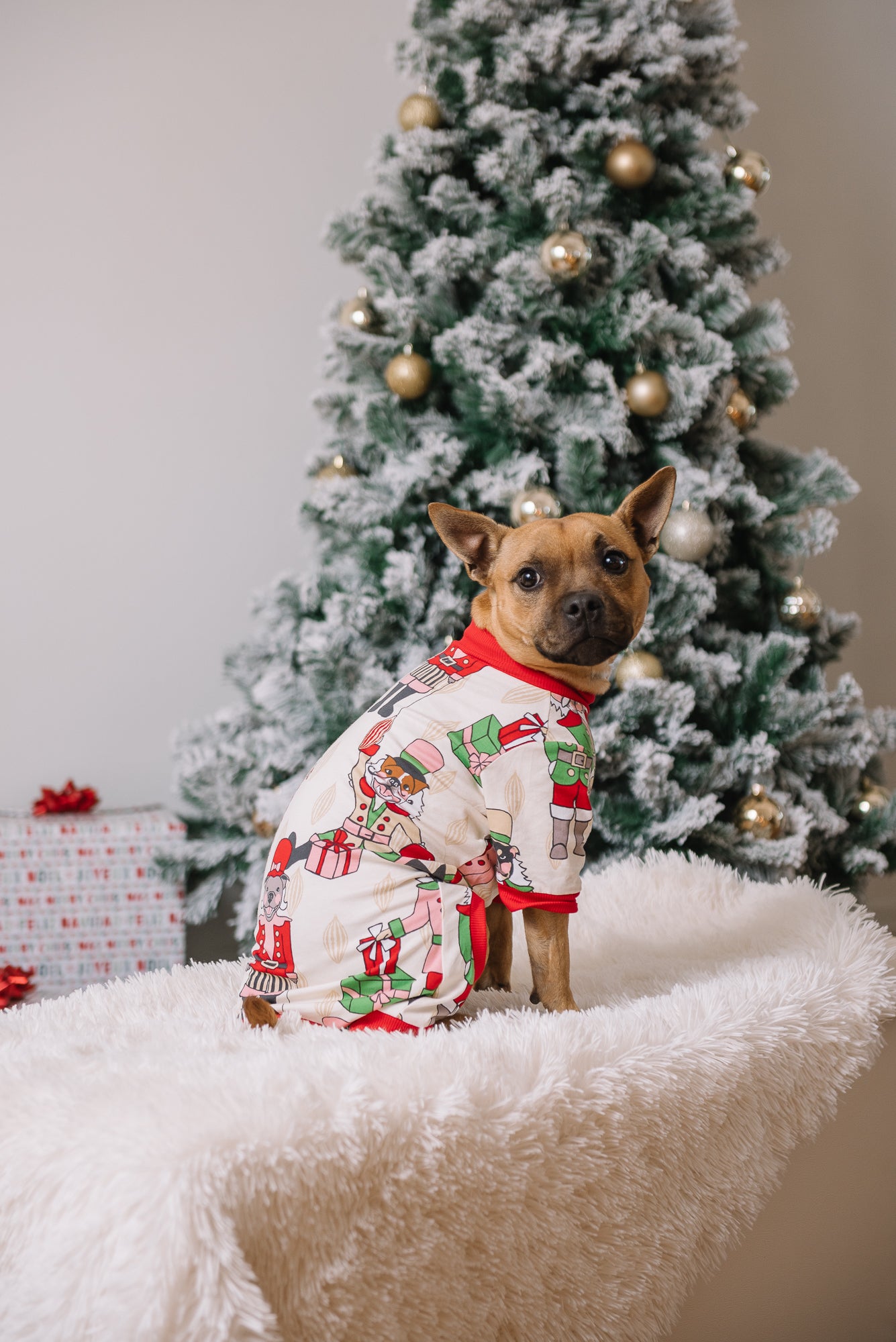 Dog Christmas Pajamas | Nutcracker Dreams