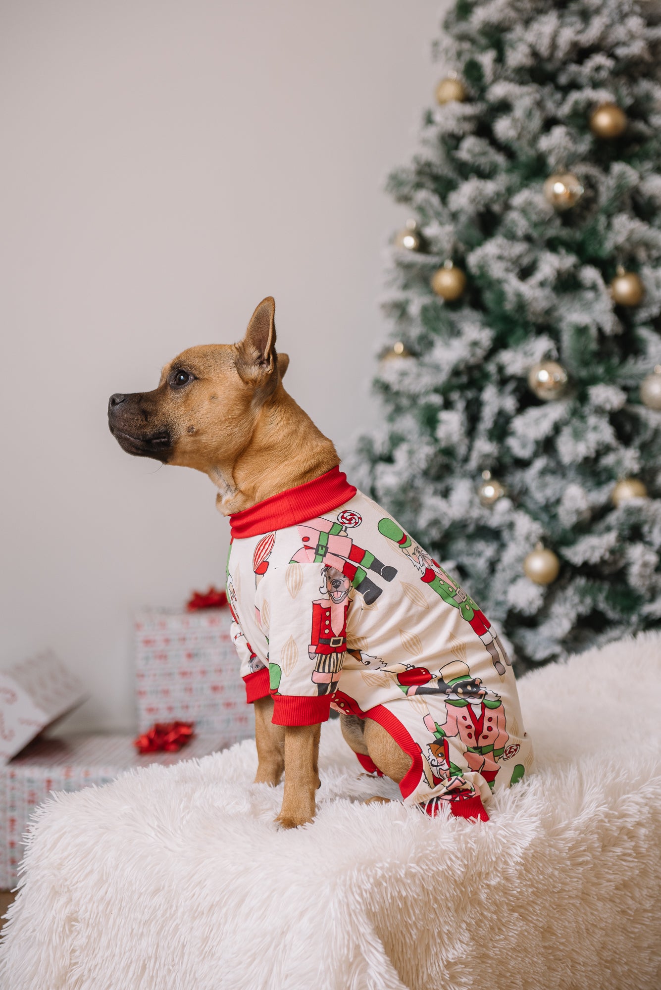 Dog Christmas Pajamas | Nutcracker Dreams