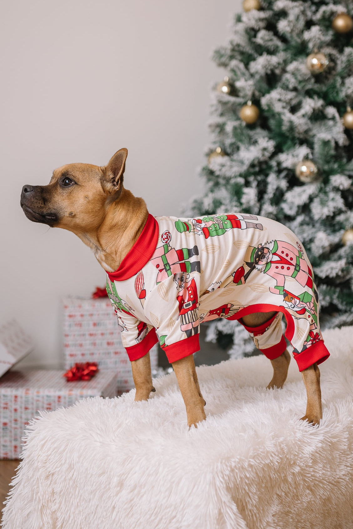 Dog Christmas Pajamas | Nutcracker Dreams