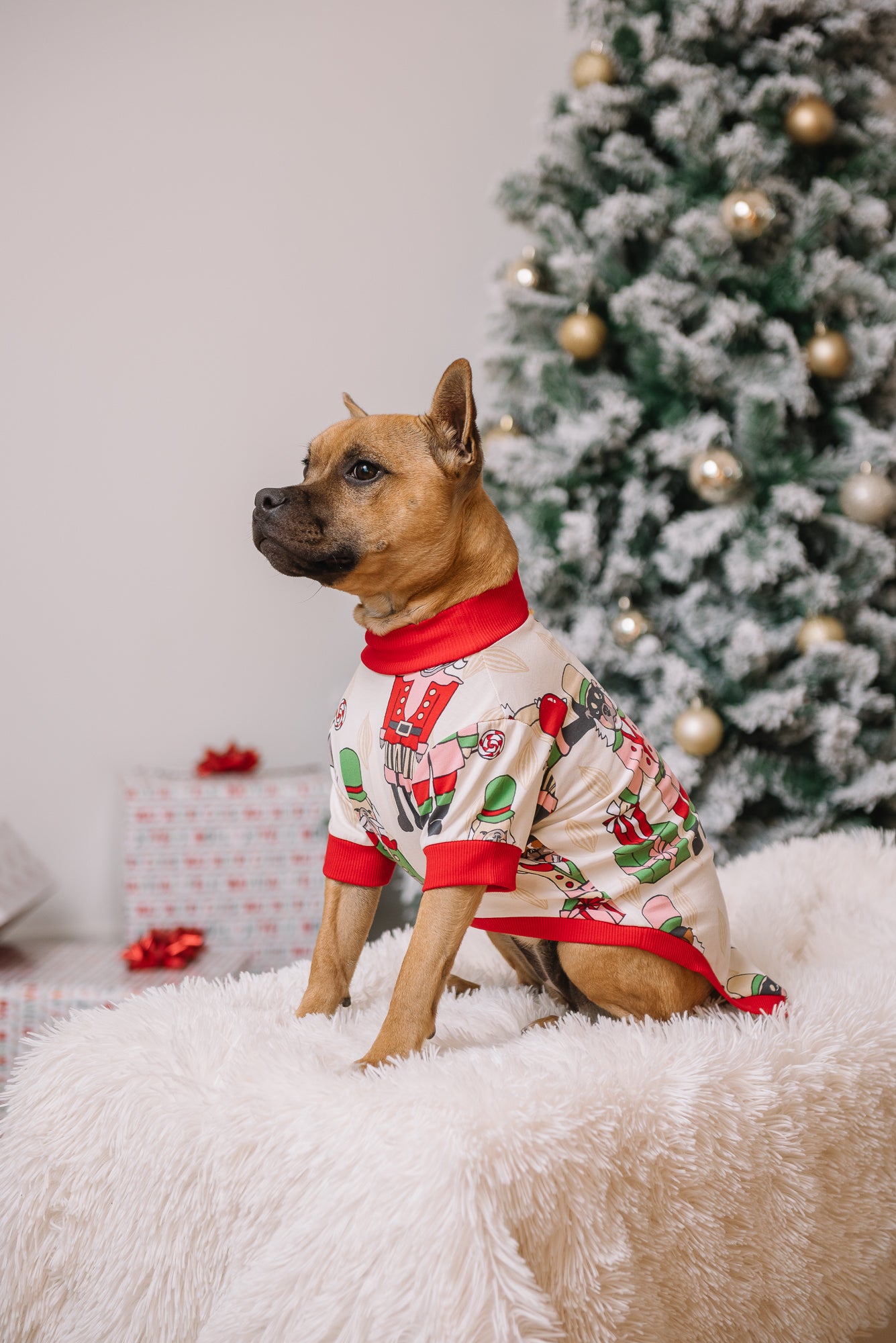 Dog Christmas Tee | Nutcracker Dreams