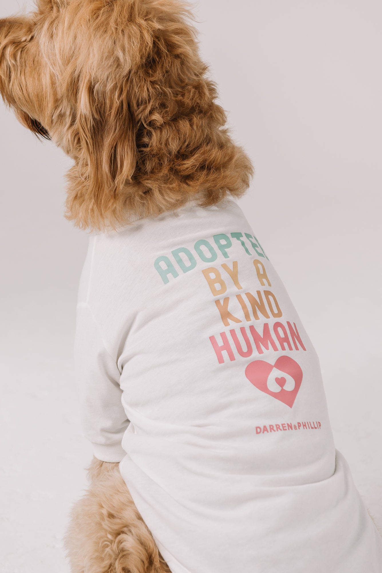 Adopt a Rescue Dog Tee | Natural