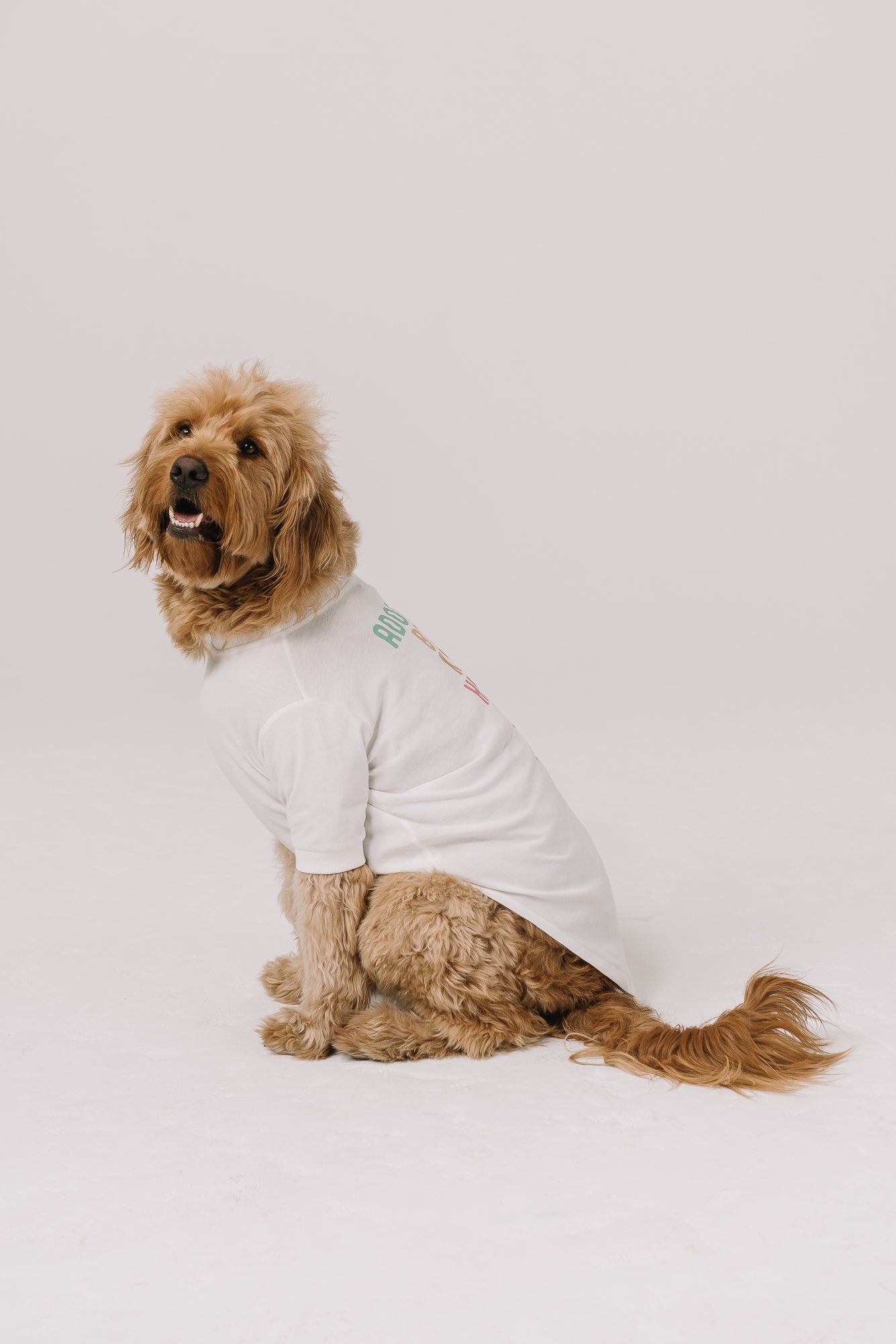 Adopt a Rescue Dog Tee | Natural