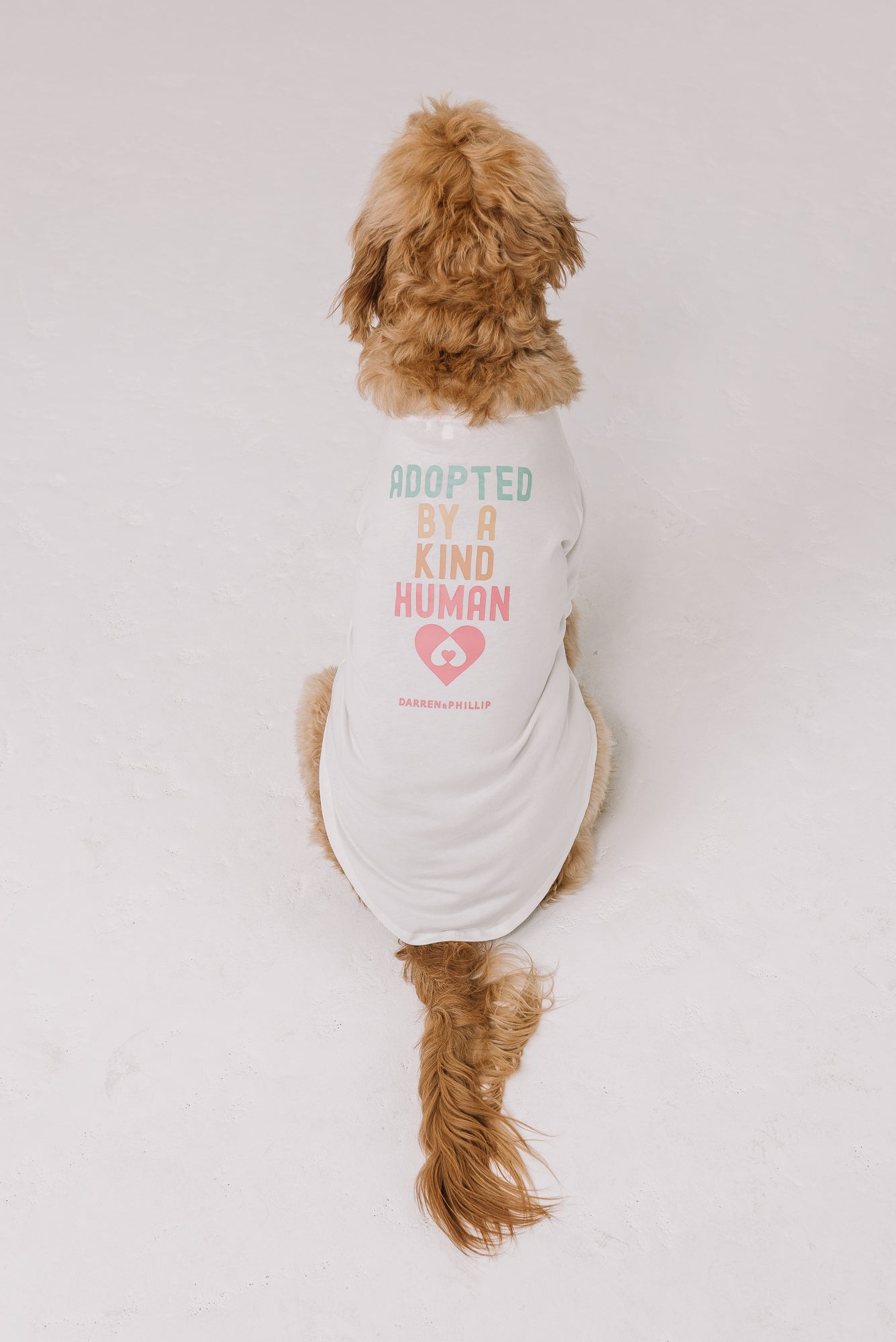 Adopt a Rescue Dog Tee | Natural