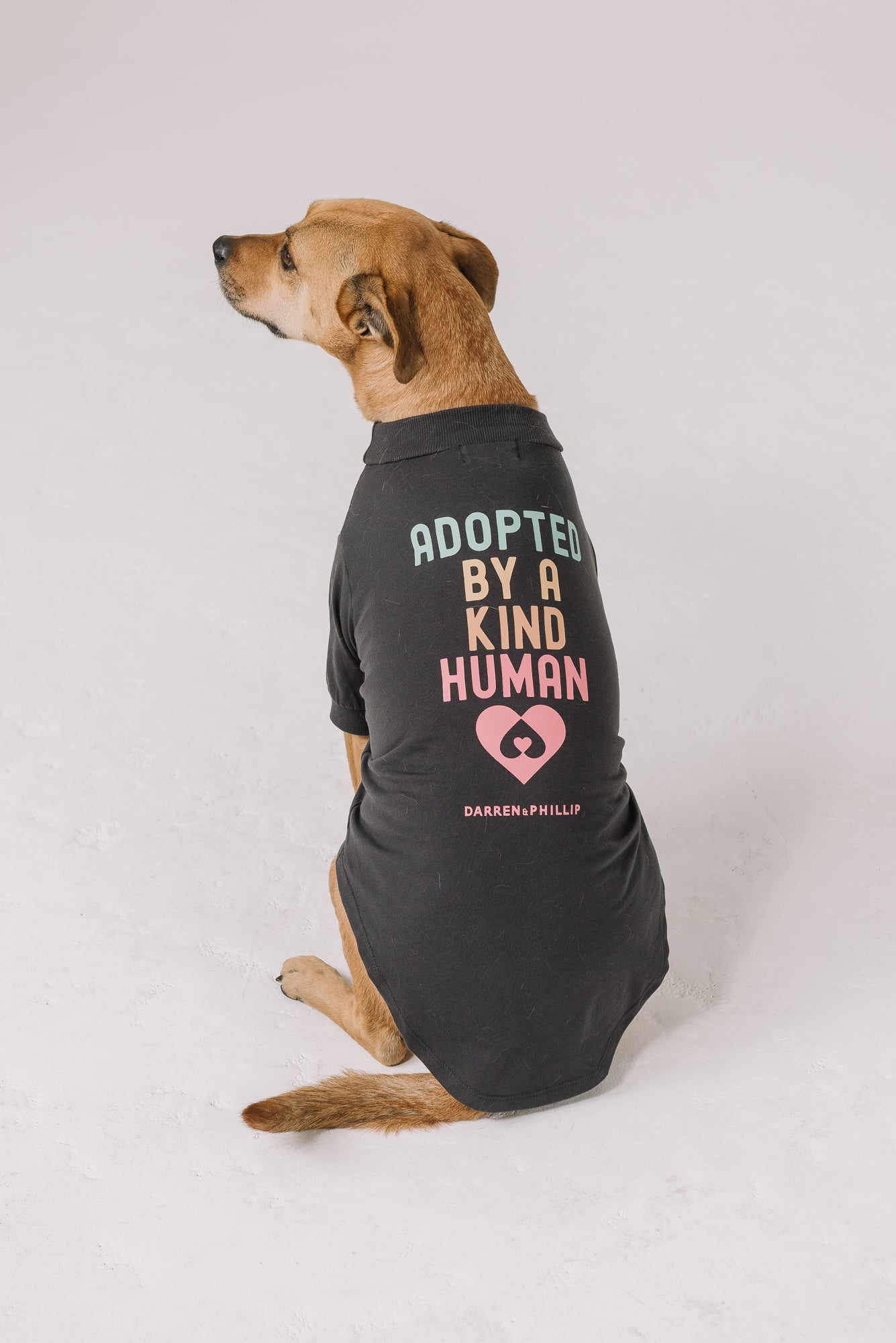 Adopt a Rescue Dog Tee | Dark Gray