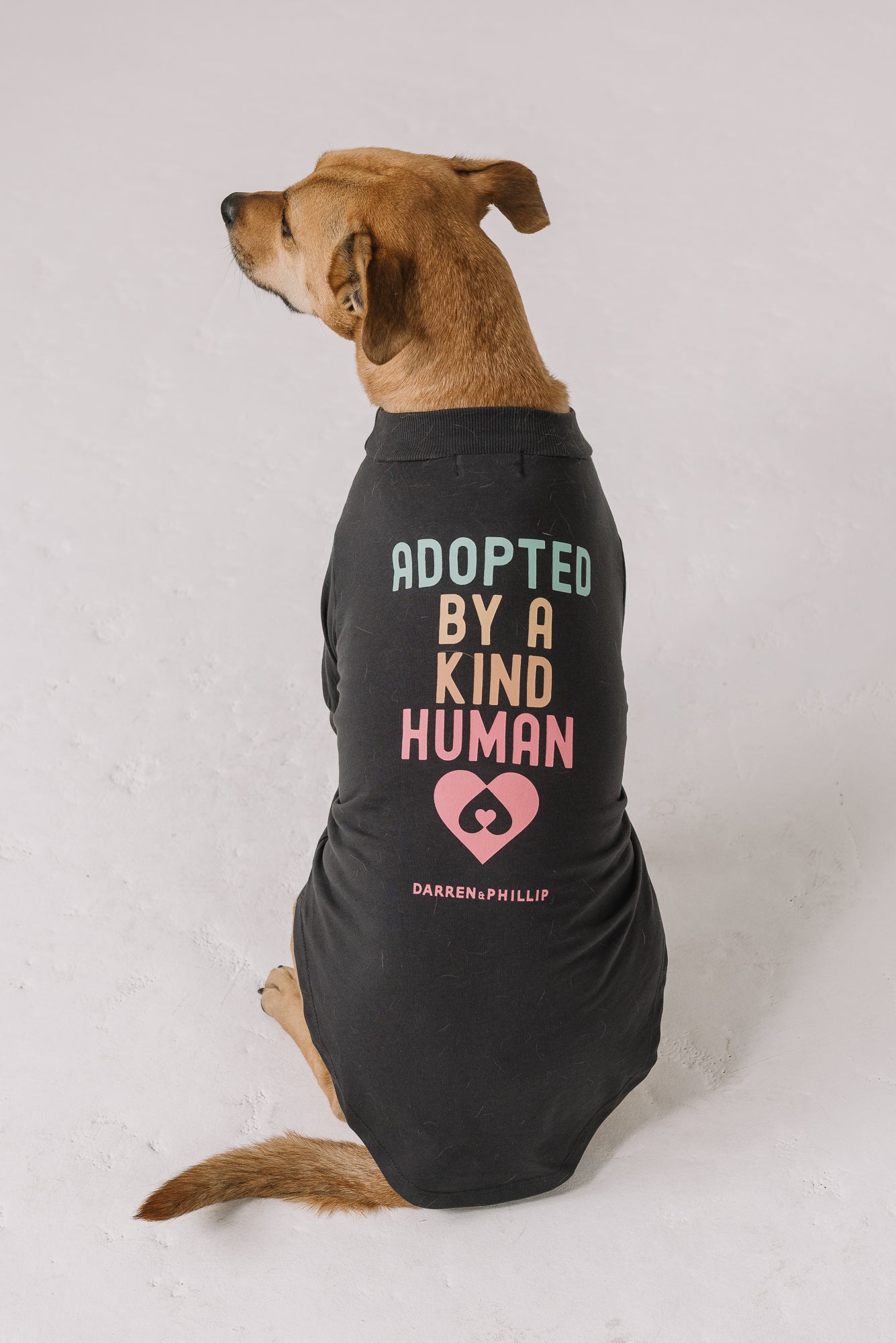 Adopt a Rescue Dog Tee | Dark Gray