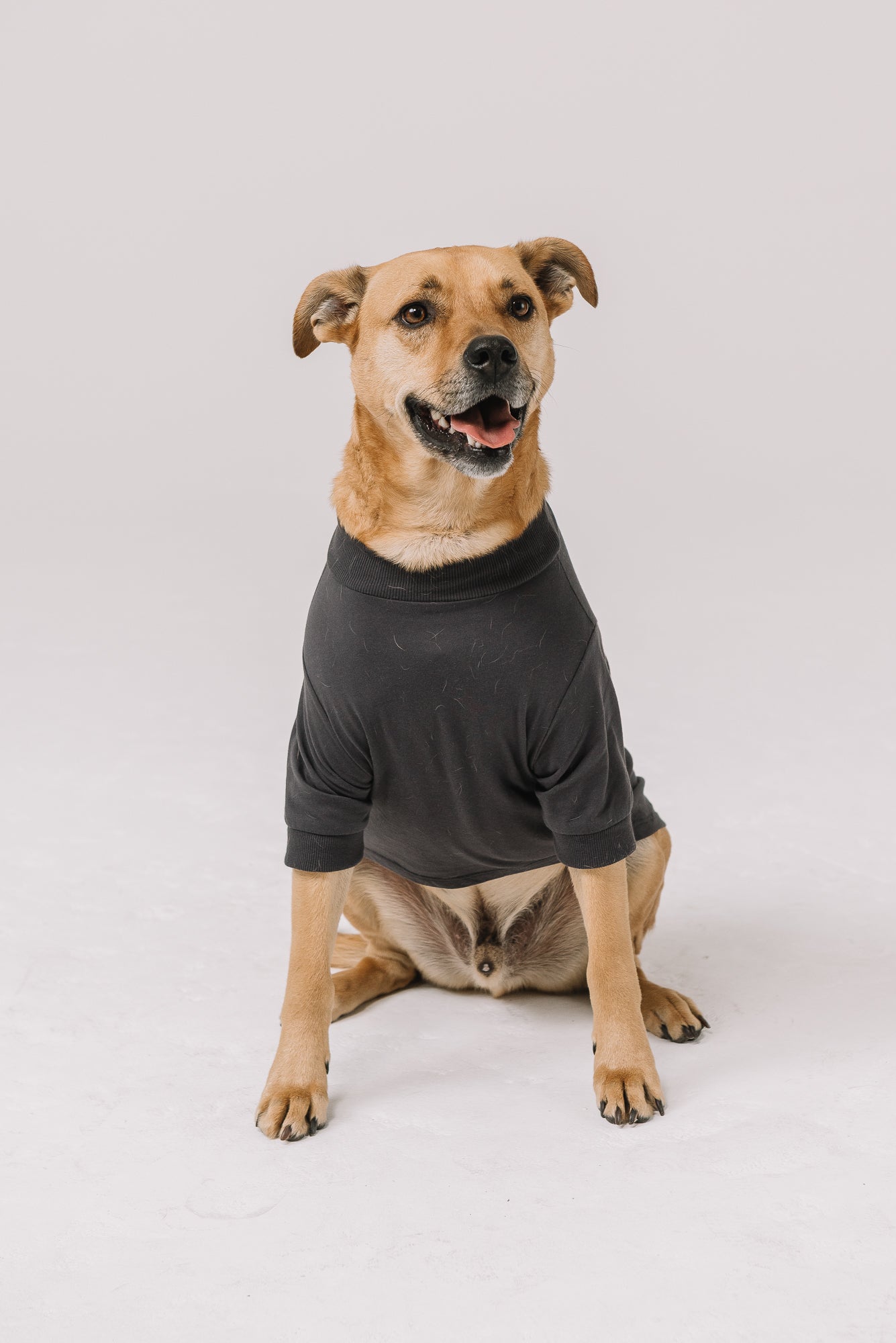 Adopt a Rescue Dog Tee | Dark Gray