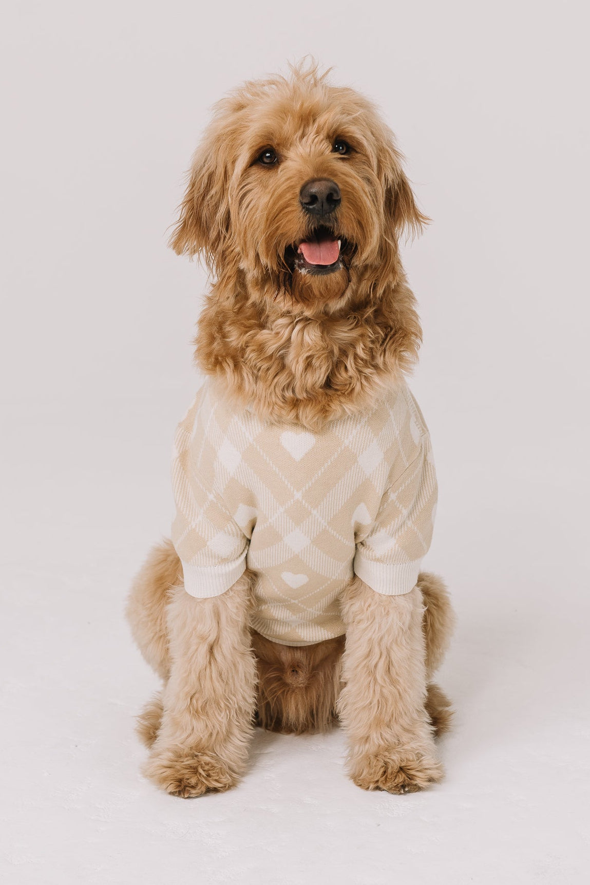 Beloved Plaid Dog Sweater