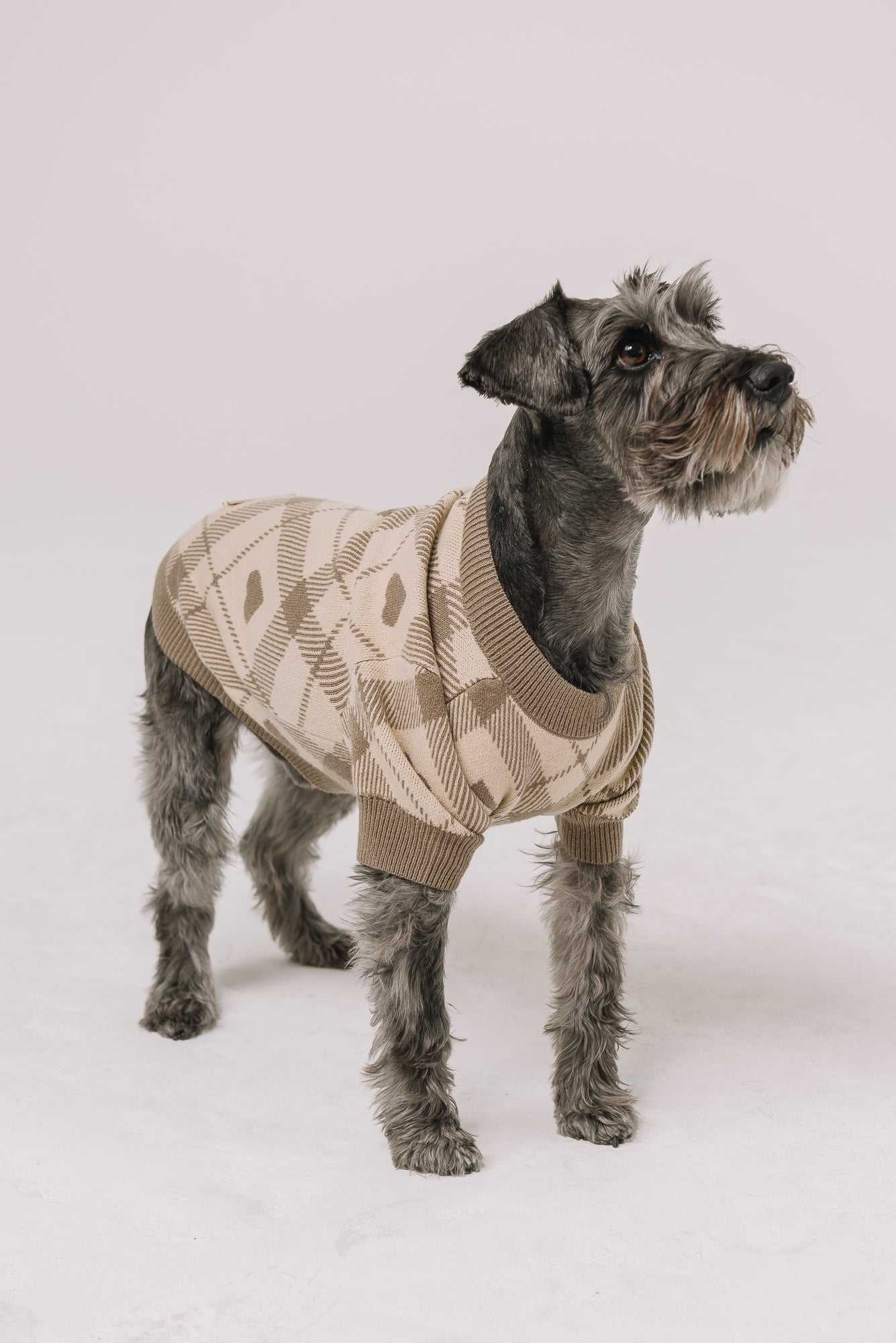 Beloved Plaid Dog Sweater