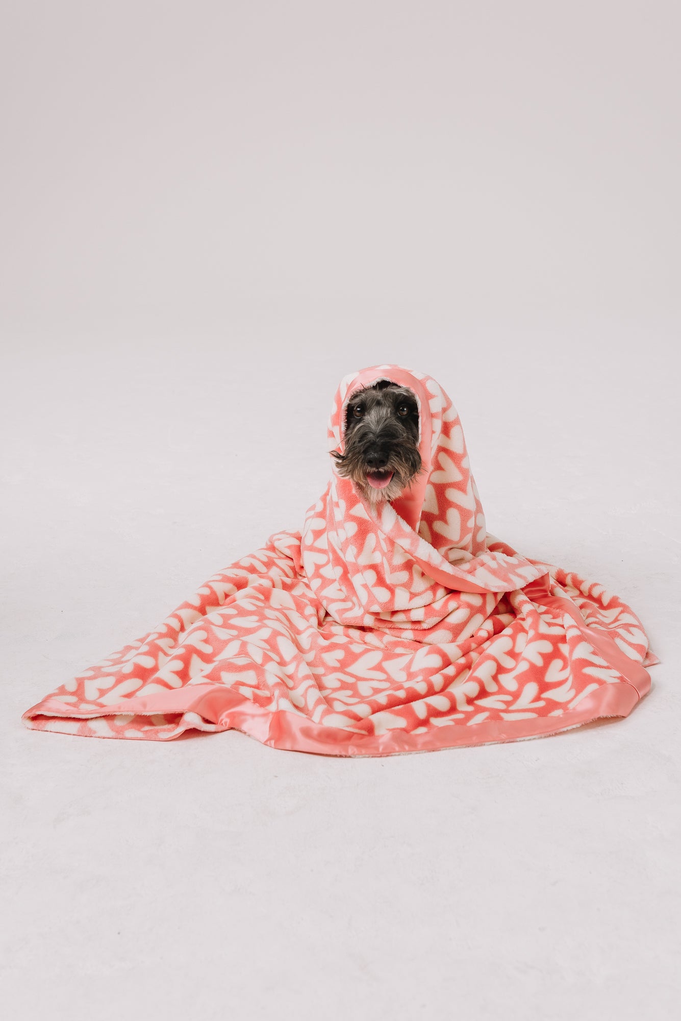 Dog Blanket | Puppy Love