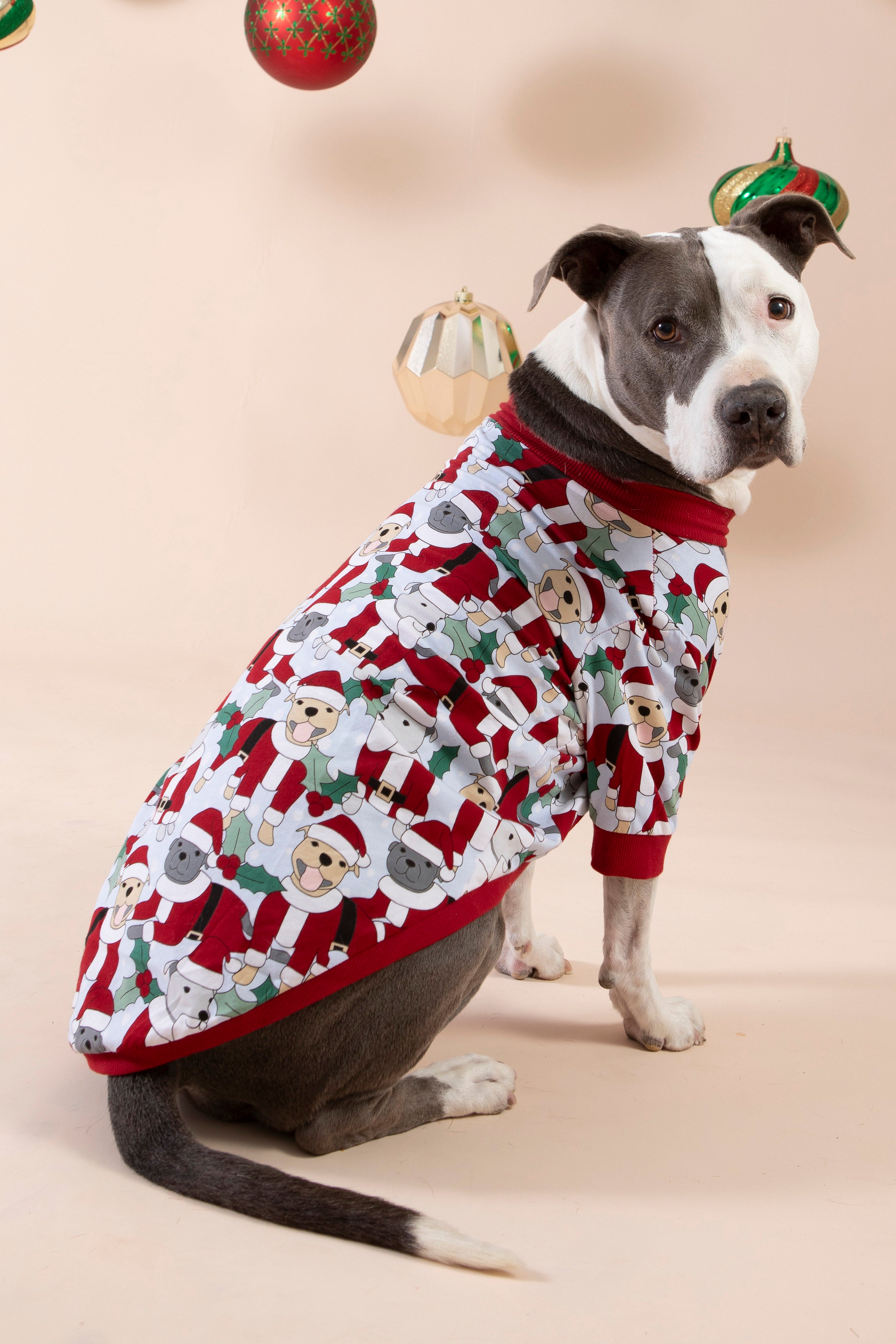 Santa Paws Dog Tee