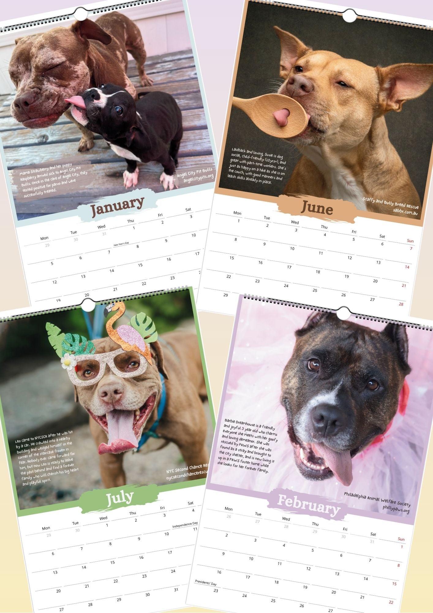 The Blueboys & Friends Rescue Calendar 2026