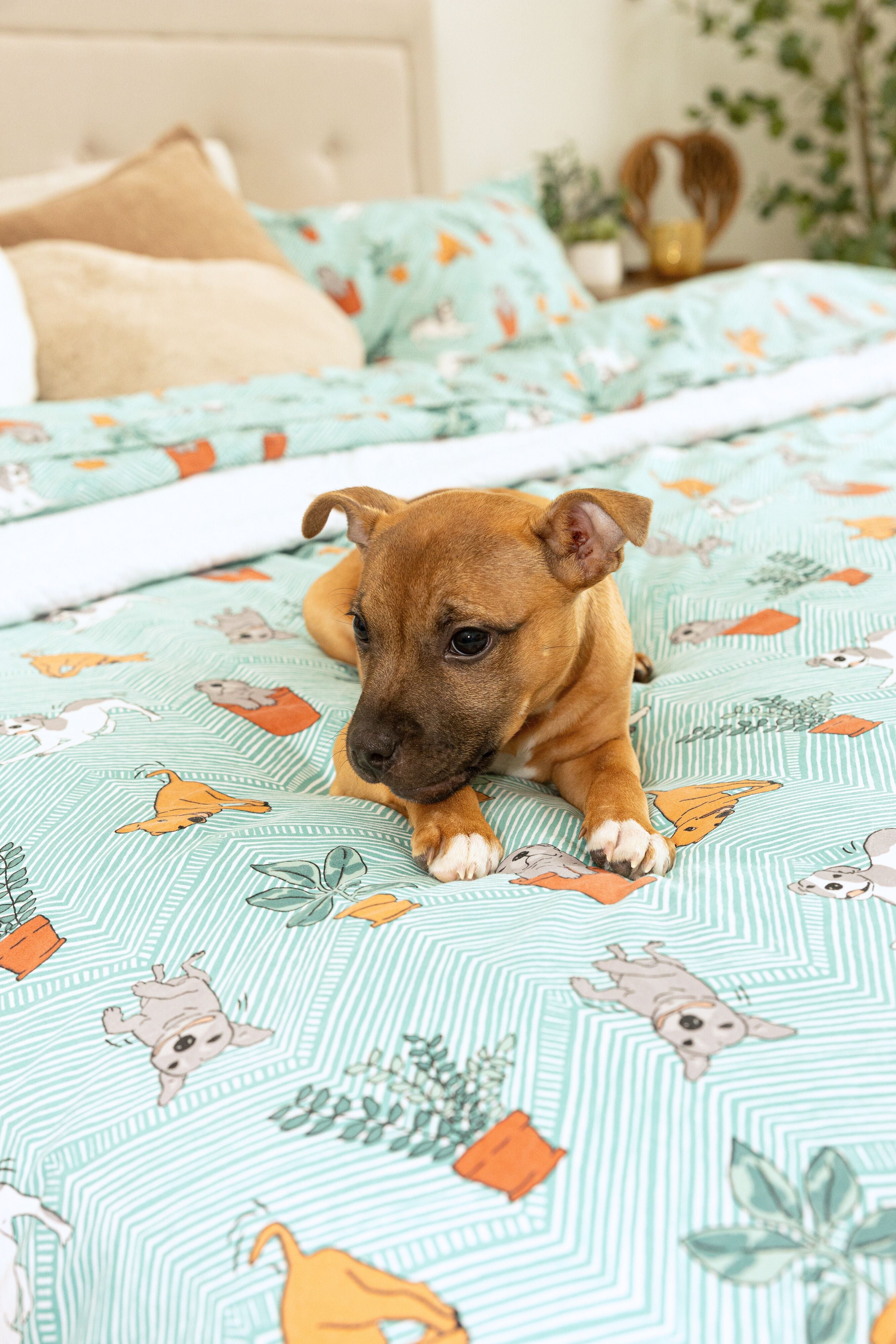 Playful Pups & Plants Duvet Cover Set