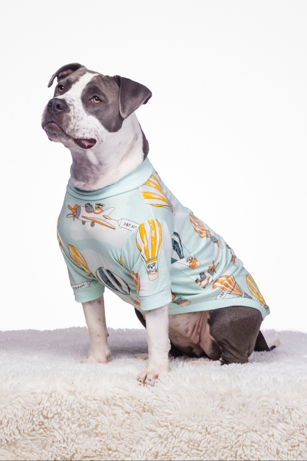 Dog Tee | Licensed to Fly