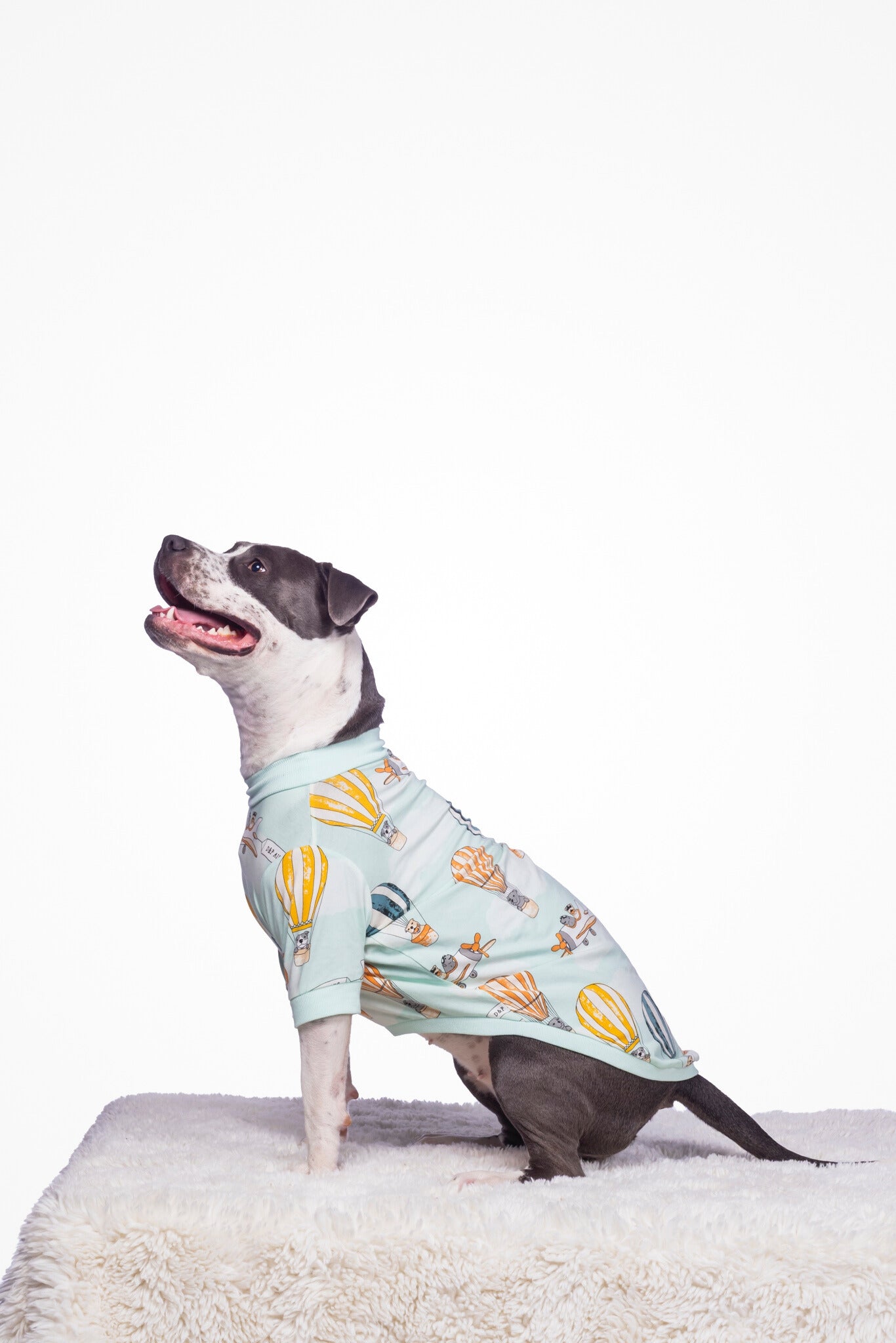 Dog Tee | Licensed to Fly