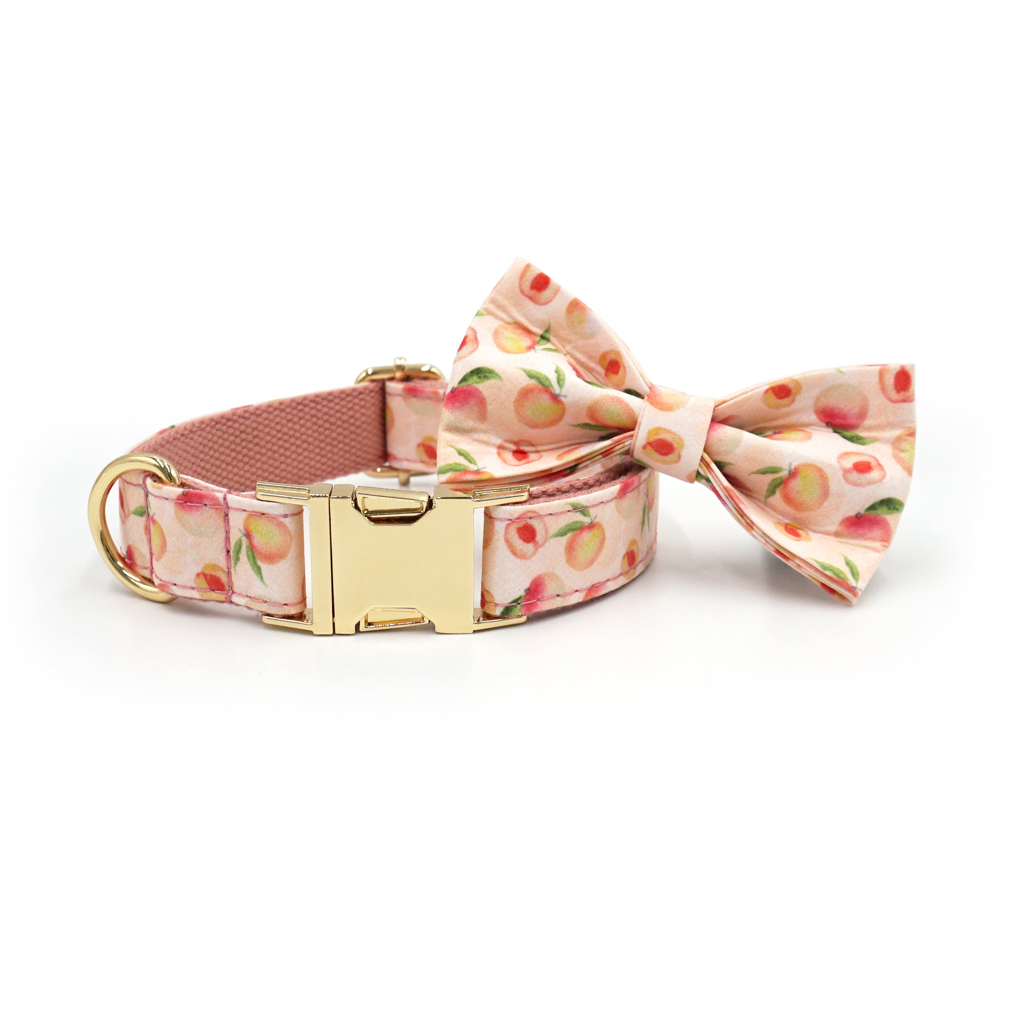 Honey Peach Dog Walking Set