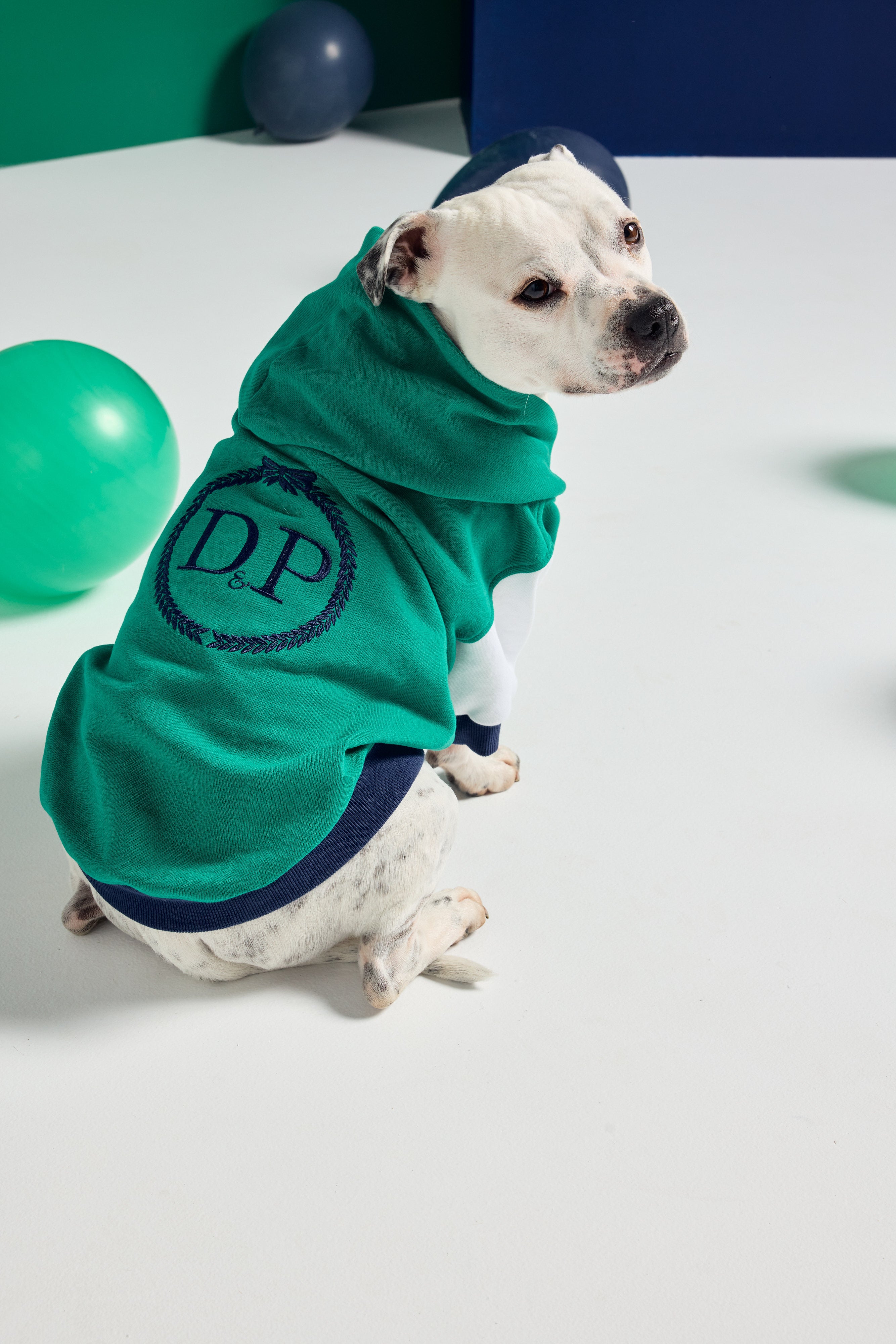 The Original Dog Hoodie